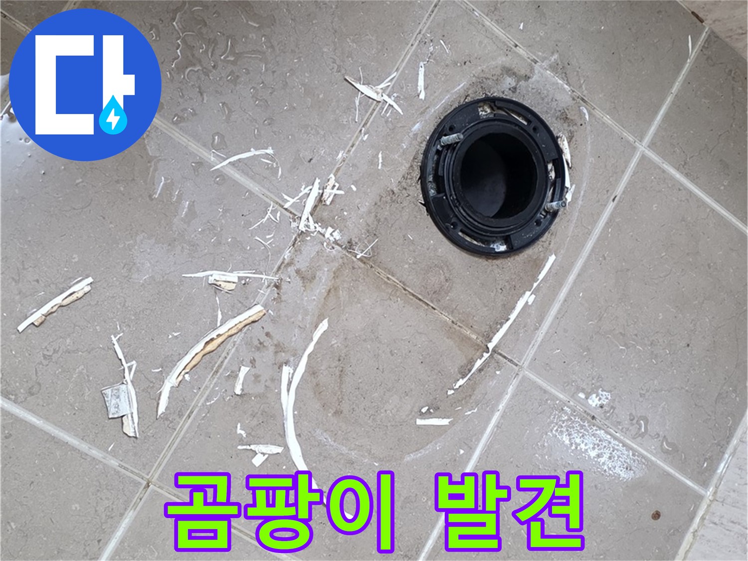 포천 일동 변기 누수 - 플랜지 주변 곰팡이