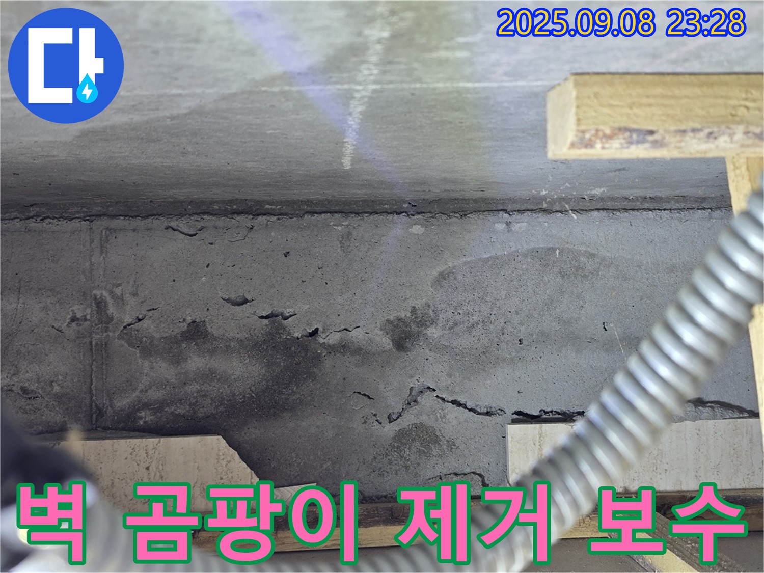 포천 일동 아파트 누수 - 벽 곰팡이 제거, 균열 보수, 쾌적한 실내 환경 조성