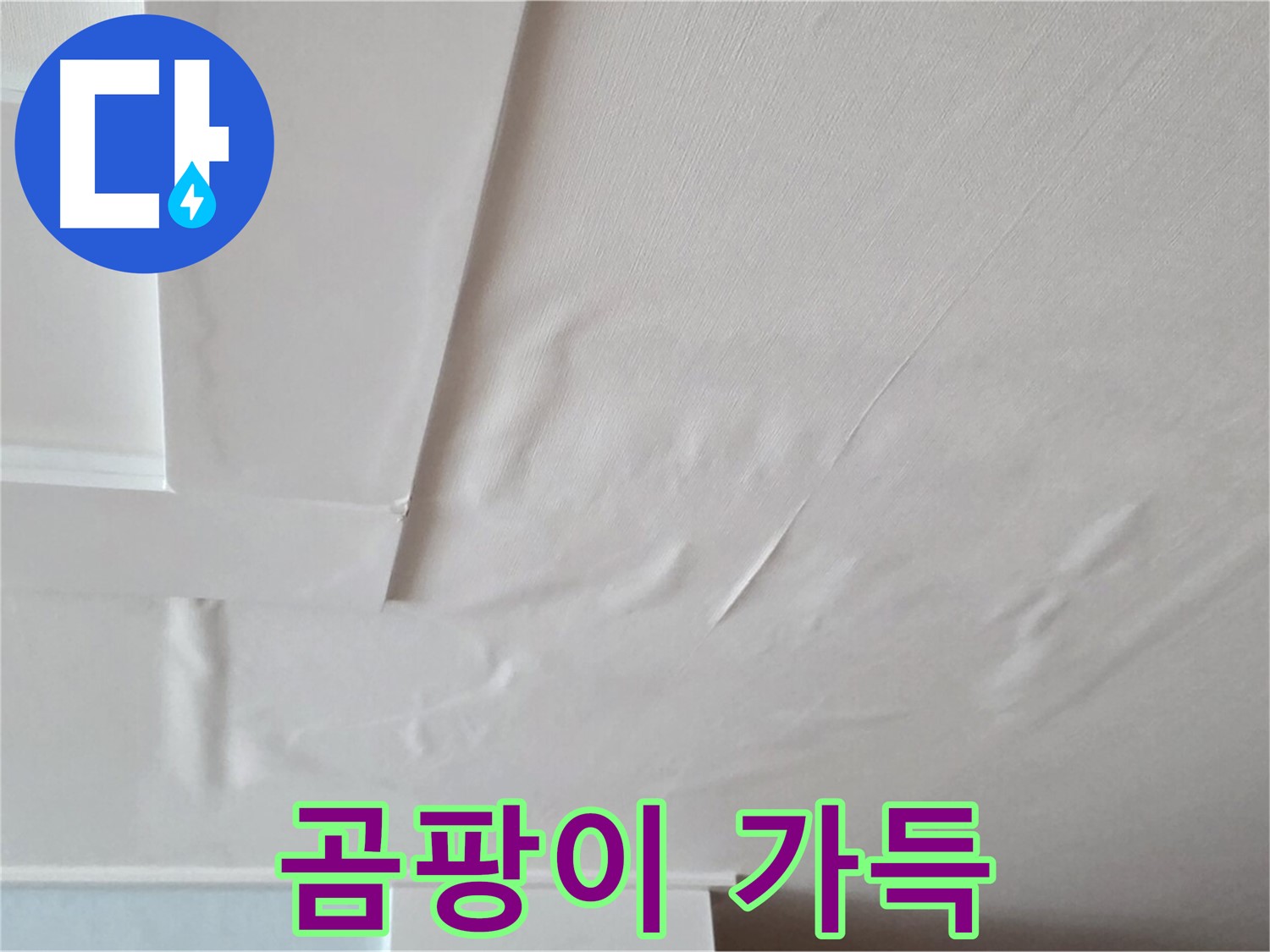 포천 일동 아파트 천장 누수 - 곰팡이 가득한 집 - 이사 고민