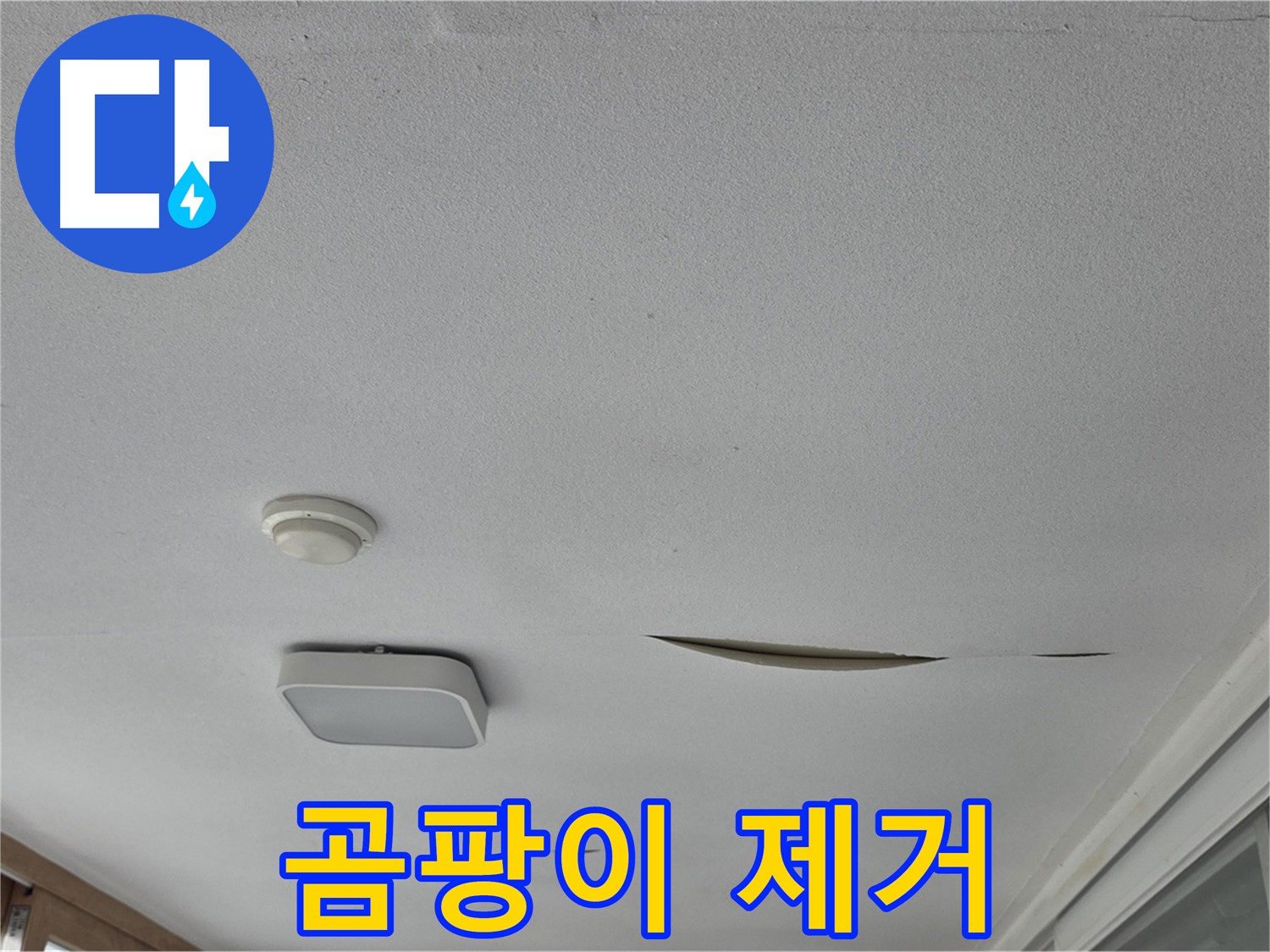 포천 일동 아파트 천장 누수 - 젖은 석고보드 곰팡이 제거