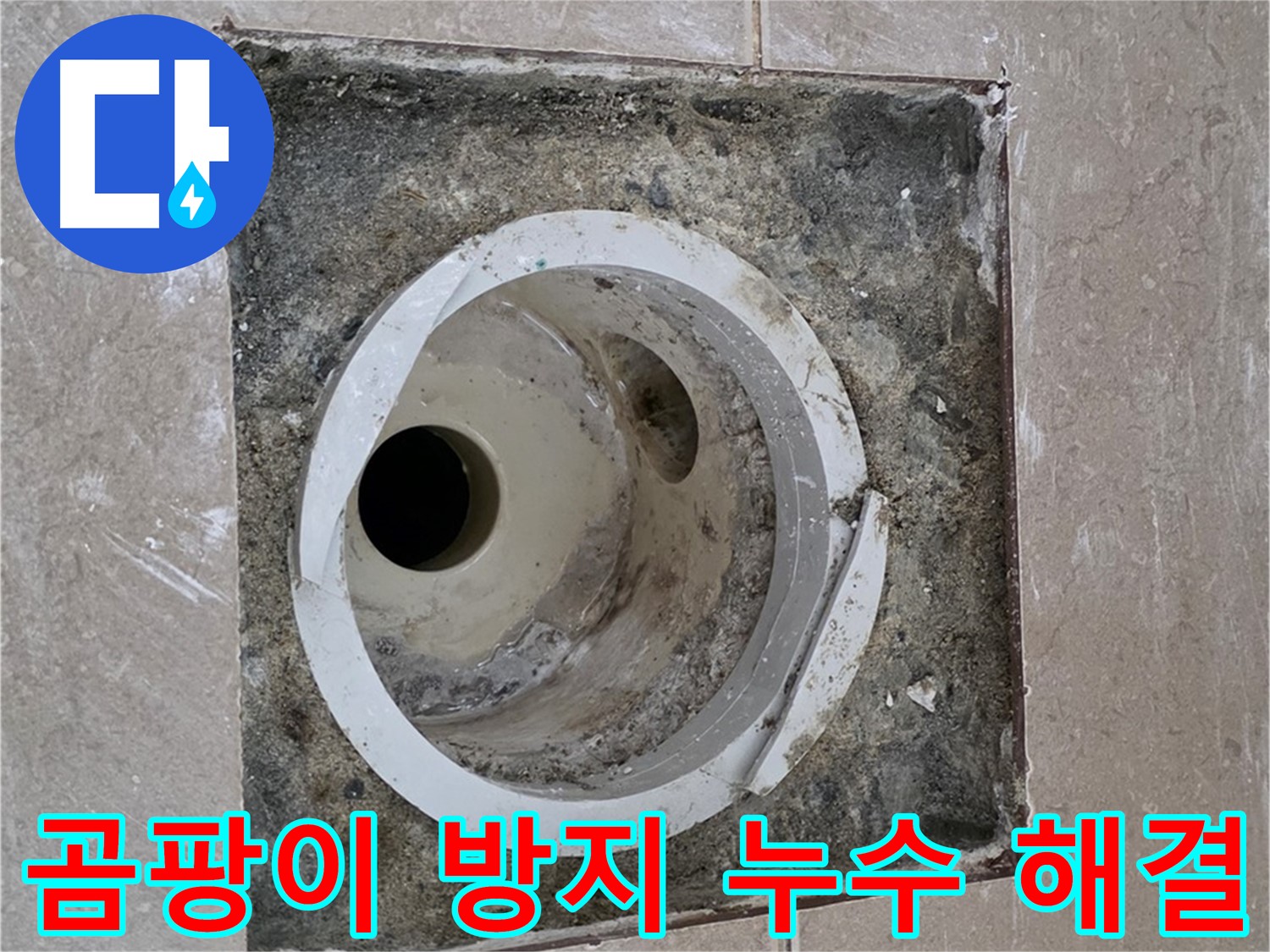 포천 일동 아파트 화장실 하수구 누수 - 곰팡이 방지 시공 및 누수 완벽 해결