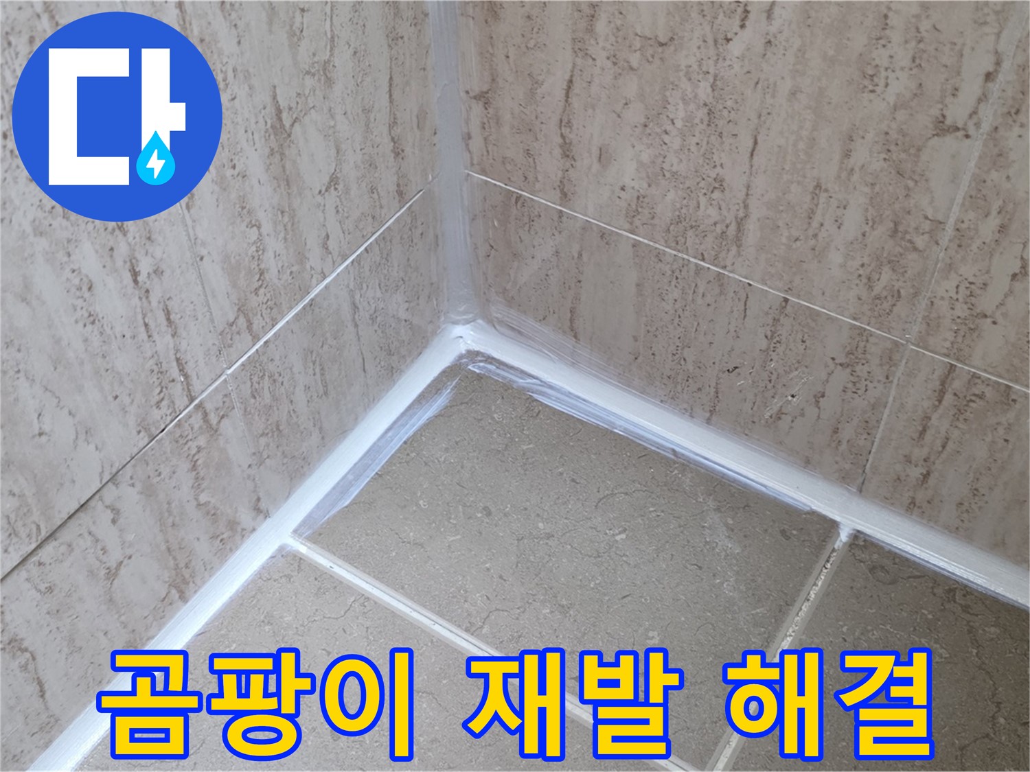 포천 일동 욕실 누수 - 곰팡이 재발, 근본적인 원인 해결