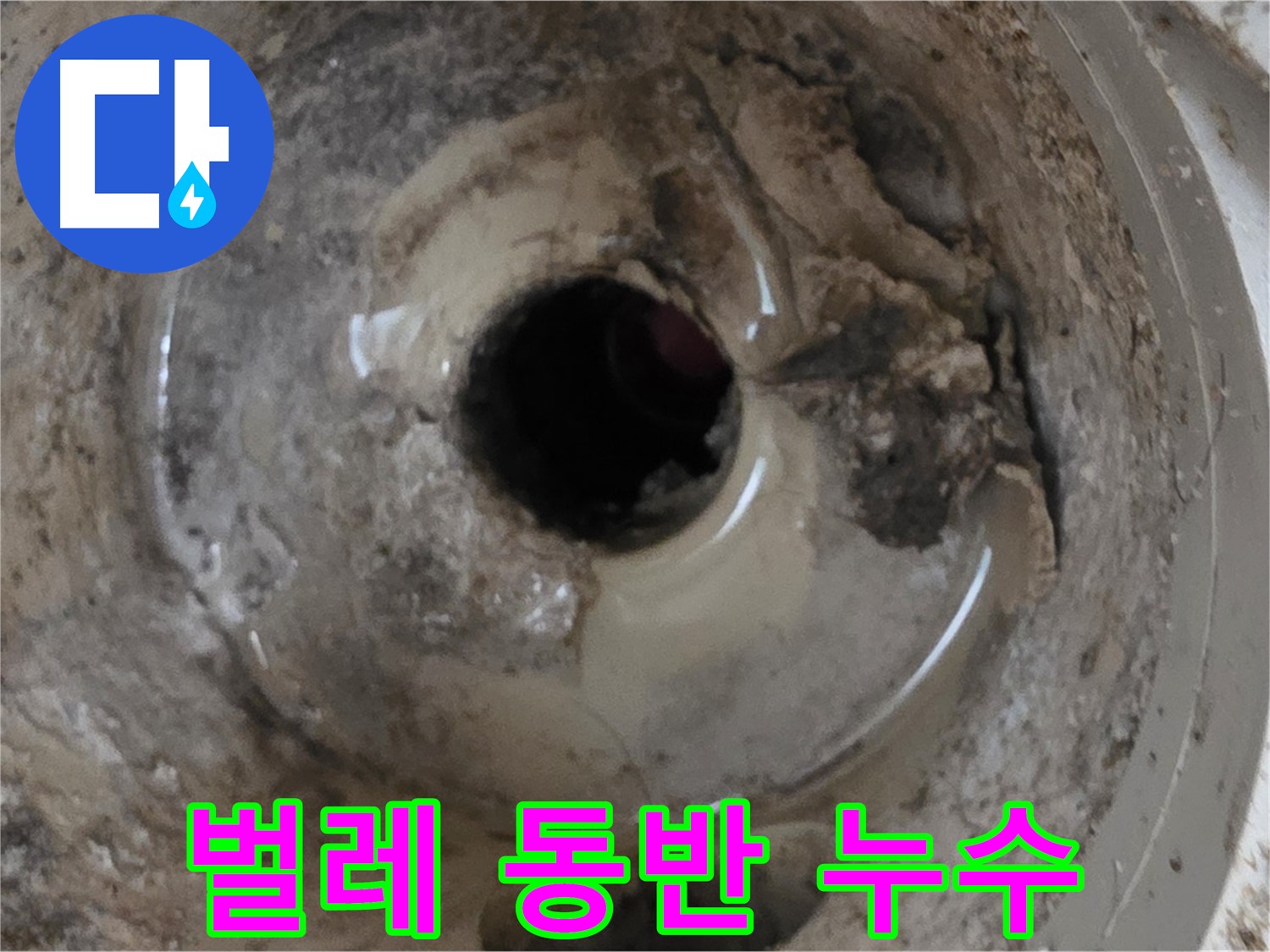 포천 일동 운악청계로 - 누수와 함께 벌레 문제 해결!