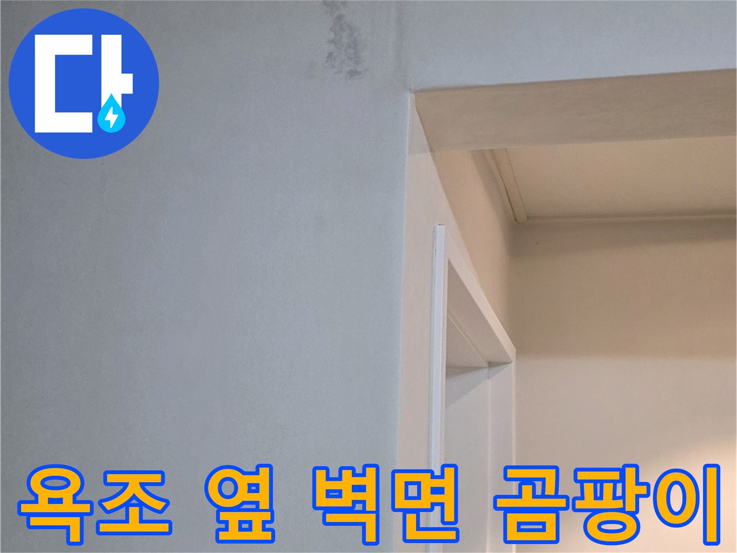 포천시 일동 기산리 아파트 욕조 옆 벽면의 곰팡이 - 건강 위협 및 제거 필요