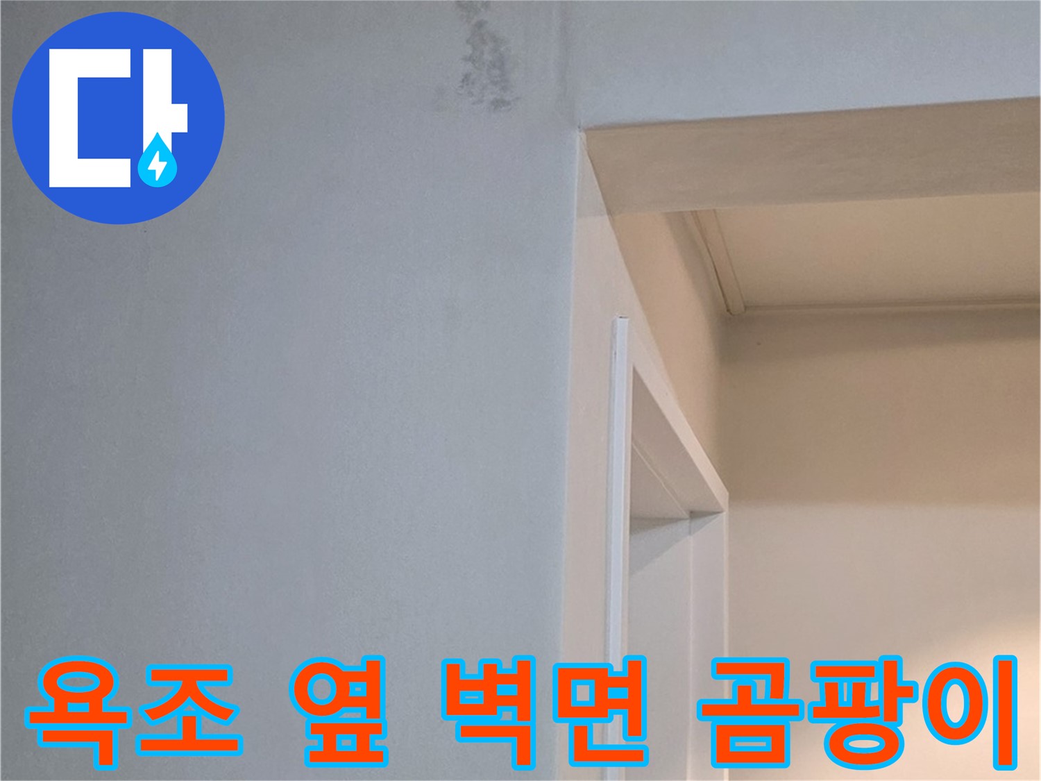 포천시 일동면 기산리 아파트 욕조 옆 벽면 곰팡이 - 건강 위협 및 꼼꼼한 제거