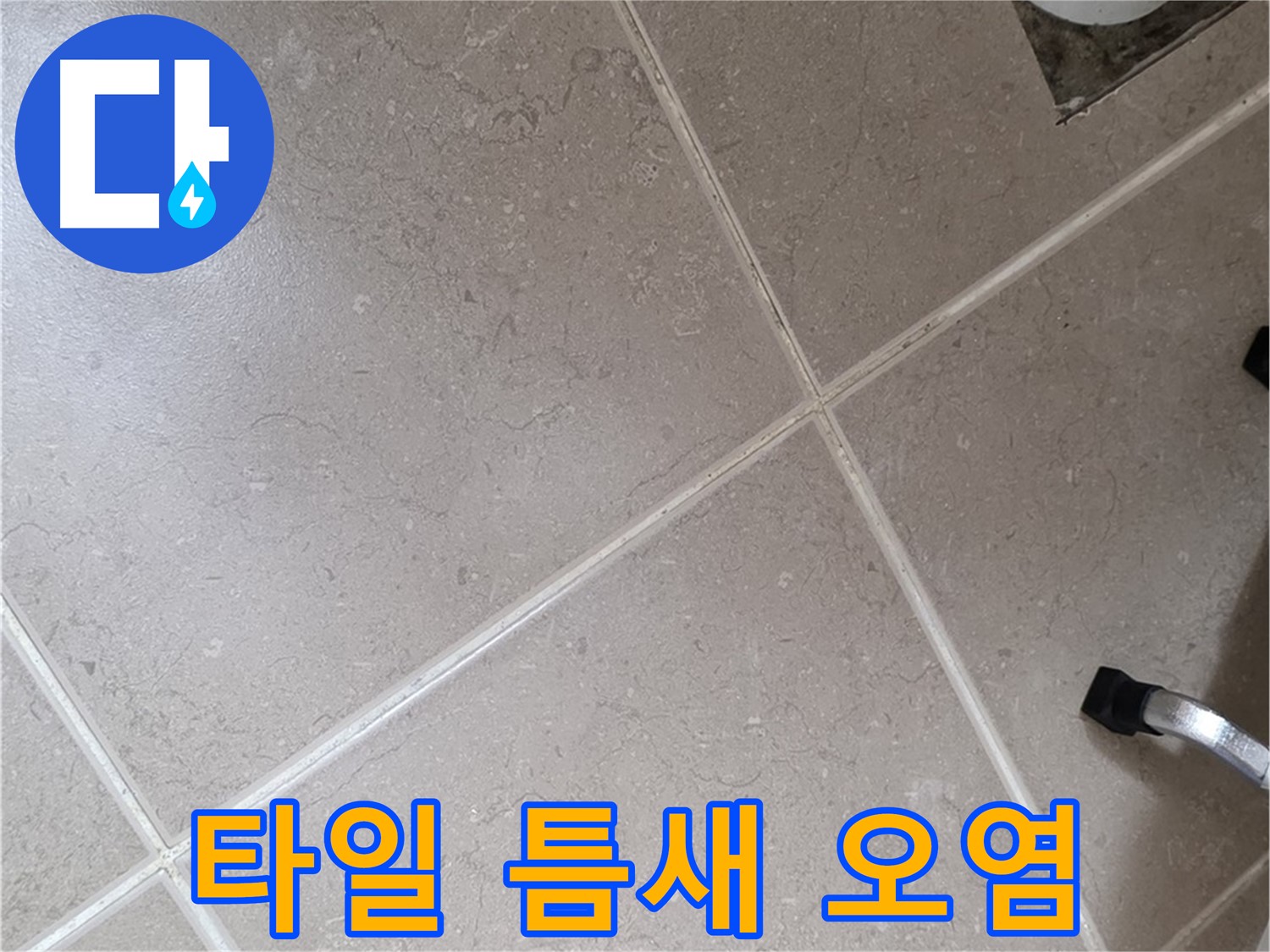 포천시 일동면 기산리 욕실 배수구 주변 타일 틈새 오염 확인 - 곰팡이 발생 가능성이 있습니다.