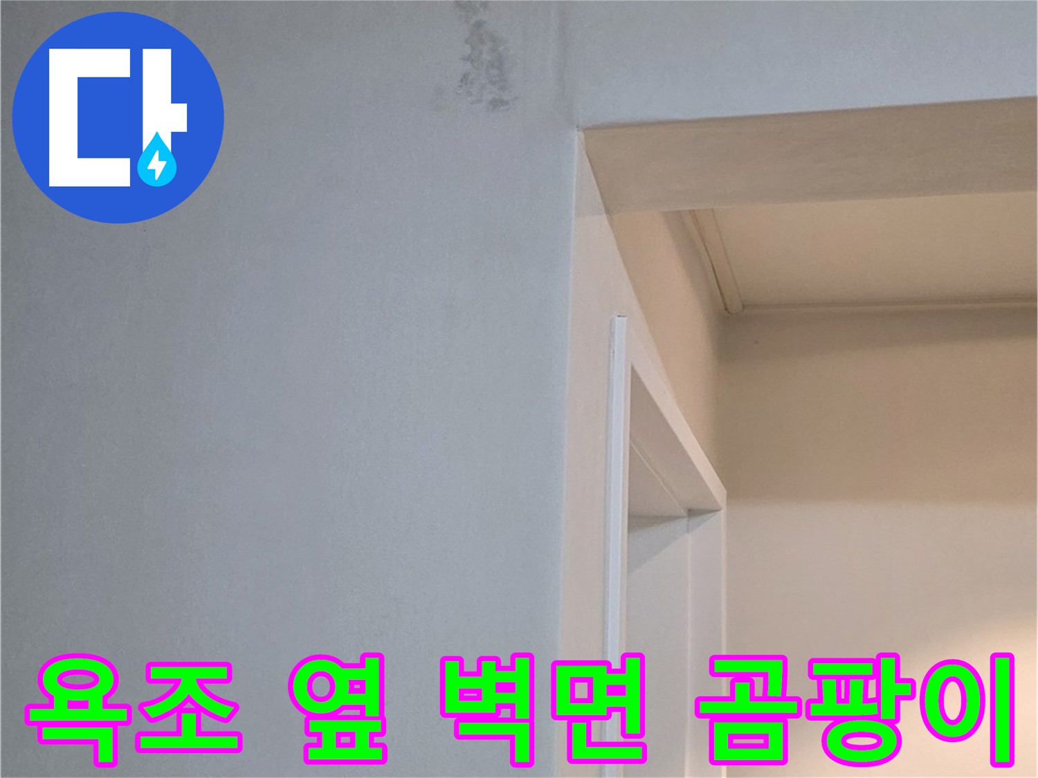 포천시 일동면 기산베스트빌 아파트 욕조 옆 벽면 곰팡이 - 곰팡이 박멸 전문