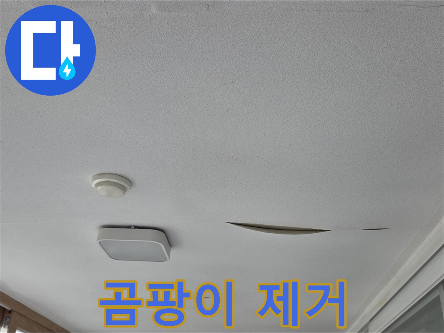 포천시 일동면 아파트 천장 누수 - 석고보드 곰팡이 제거