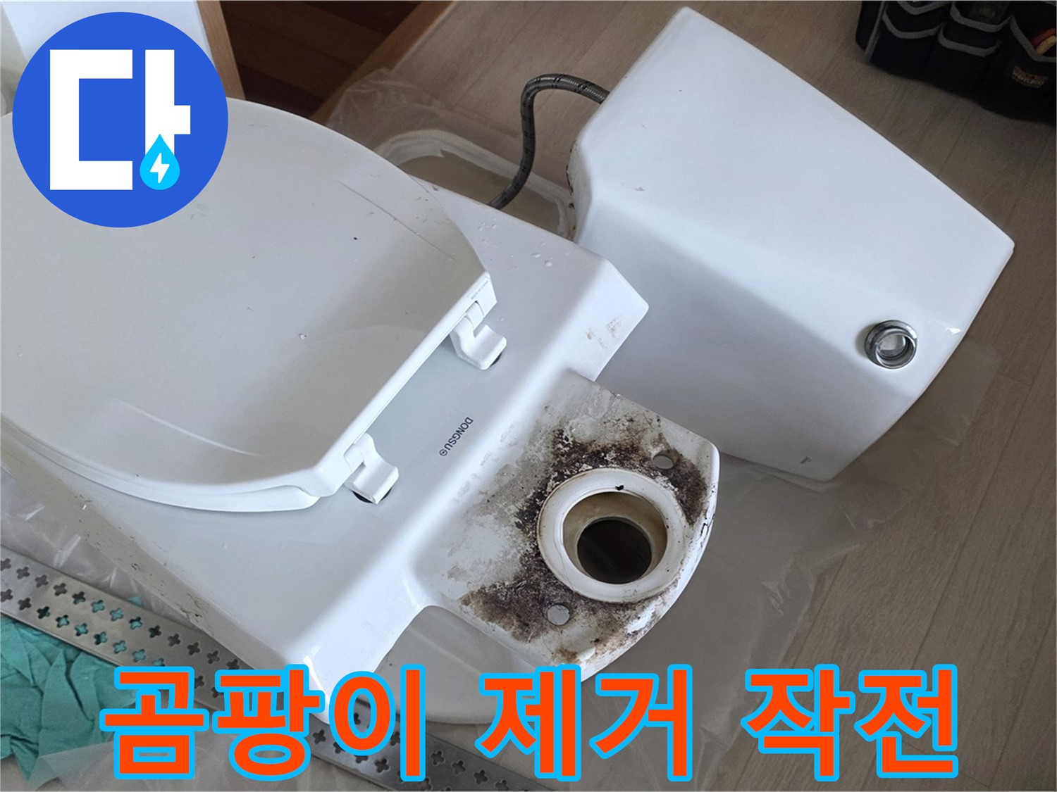 포천시 일동면 운악청계로 - 변기 찌든 때와 곰팡이 완벽 제거 작업 돌입
