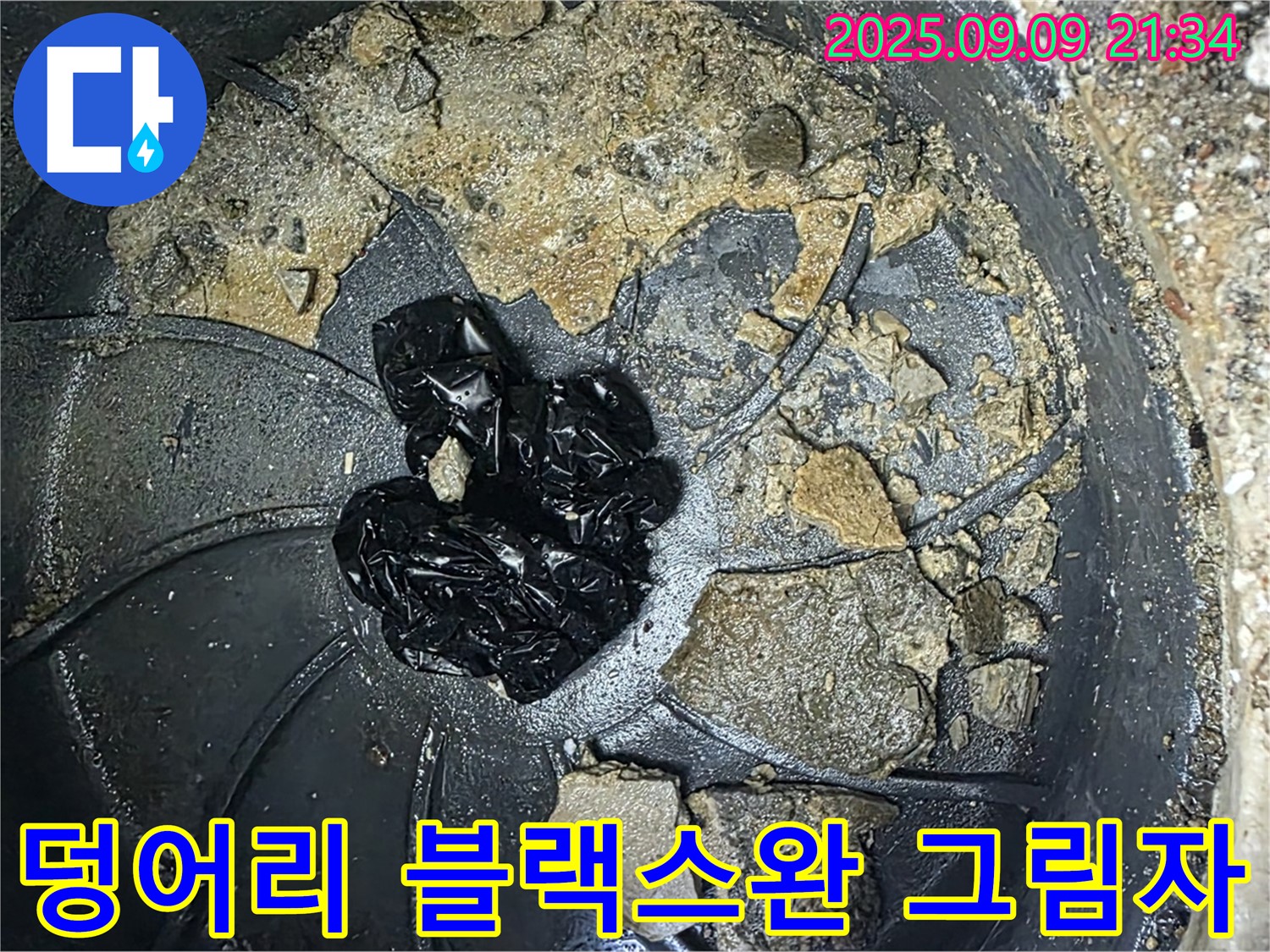 배수구 속 검은 덩어리 - 누수 블랙스완의 그림자가 드리우고 있습니다!