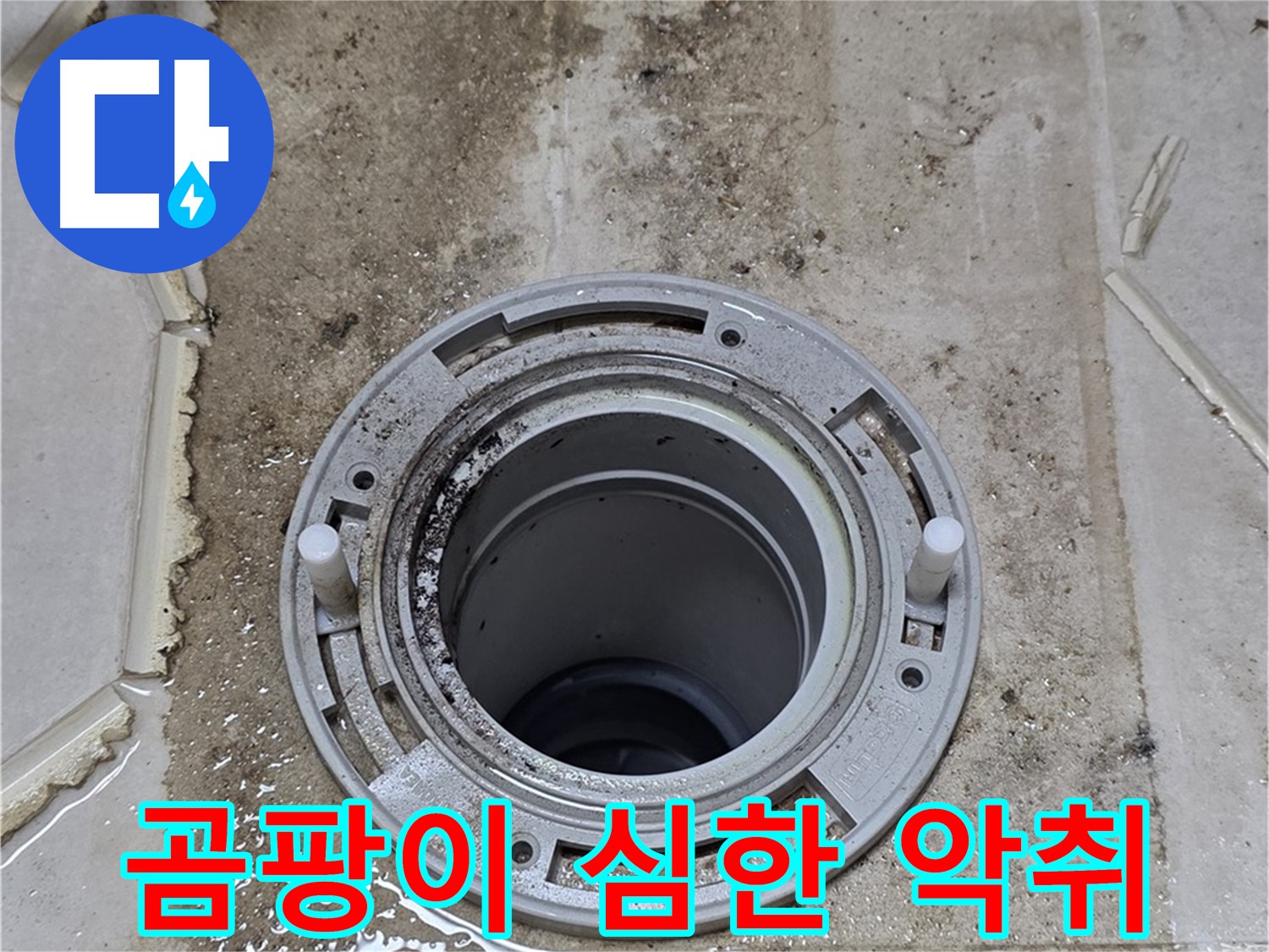 변기 플랜지 주변 - 곰팡이가 심하게 발생하여 악취가 납니다.