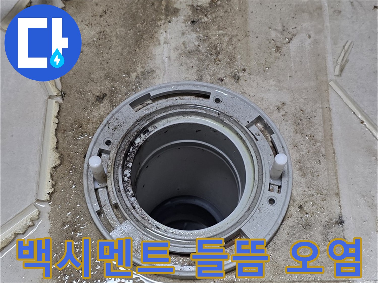 변기 하부 백시멘트 들뜸 및 오염 - 백시멘트가 들뜨고 오염되어 누수가 발생하고 있습니다.