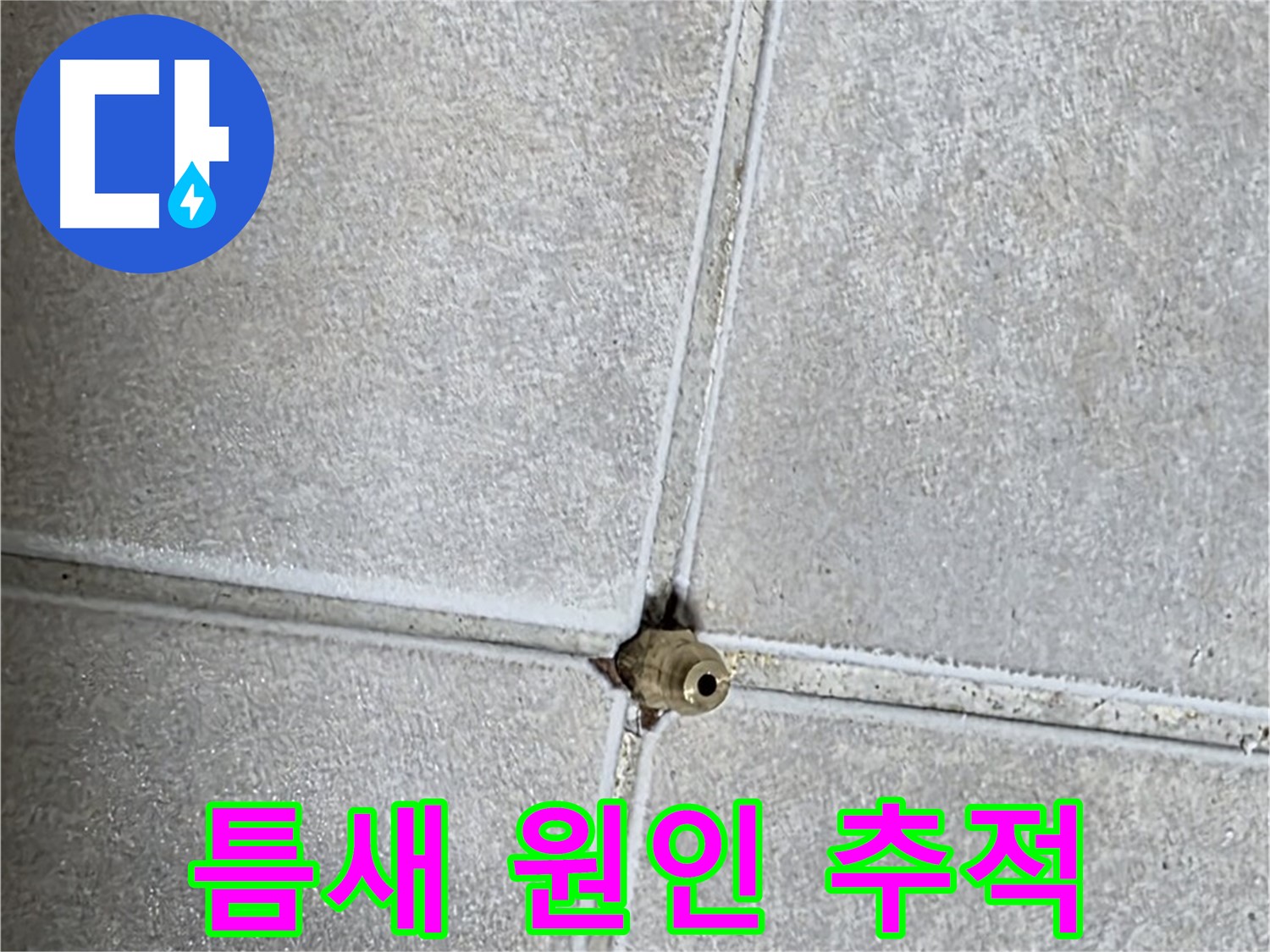 양주 옥정 율정마을 아파트 누수 - 누수 원인 추적! 미세한 타일 틈새에 숨겨진 비밀을 밝혀냅니다.
