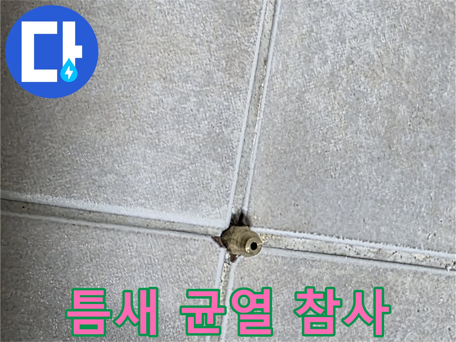 양주 옥정 율정마을 아파트 누수 - 누수, 타일 틈새의 작은 균열이 불러온 대참사?! 꼼꼼한 점검이 필요합니다.