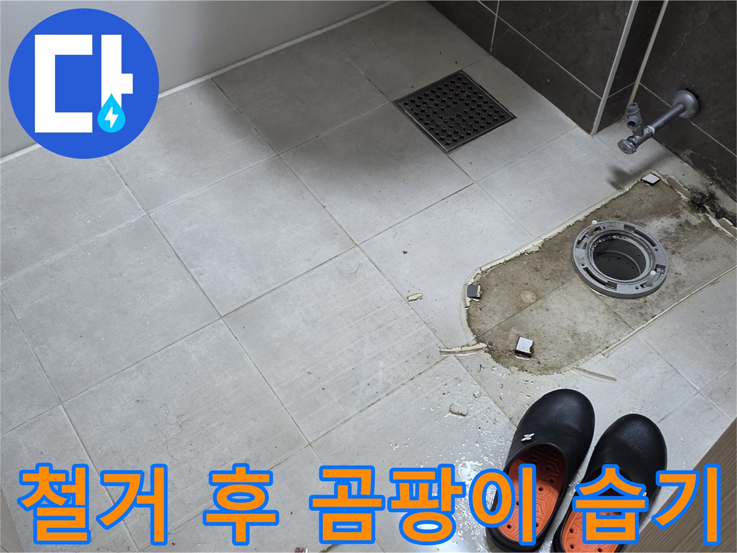 양주 옥정 율정마을 아파트 변기 누수 - 변기 철거 후 바닥의 곰팡이와 습기 상태를 확인합니다.