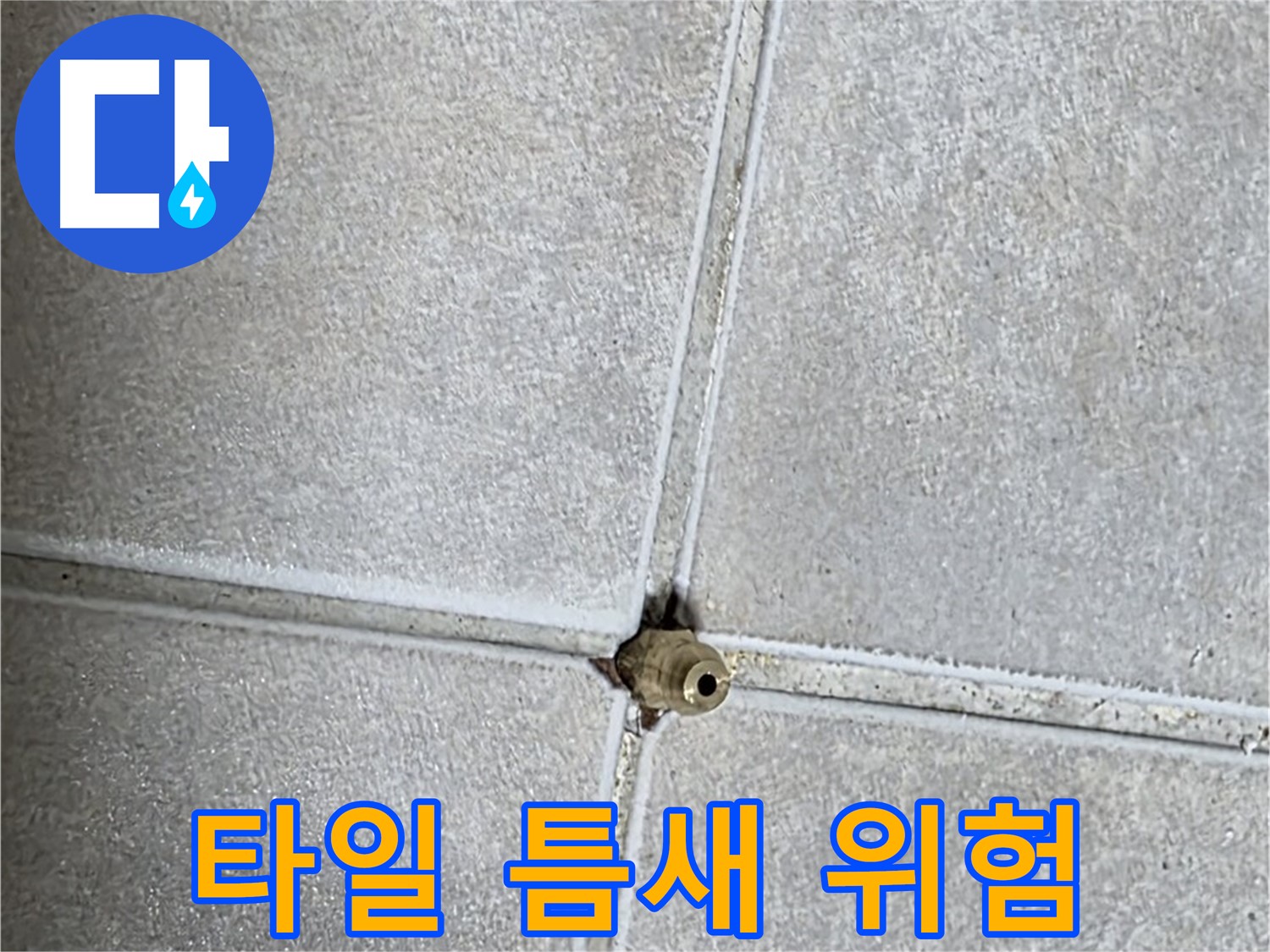 양주 옥정 율정마을 아파트 욕실 누수 - 타일 틈새의 작은 구멍이 가져올 수 있는 위험성을 경고합니다.
