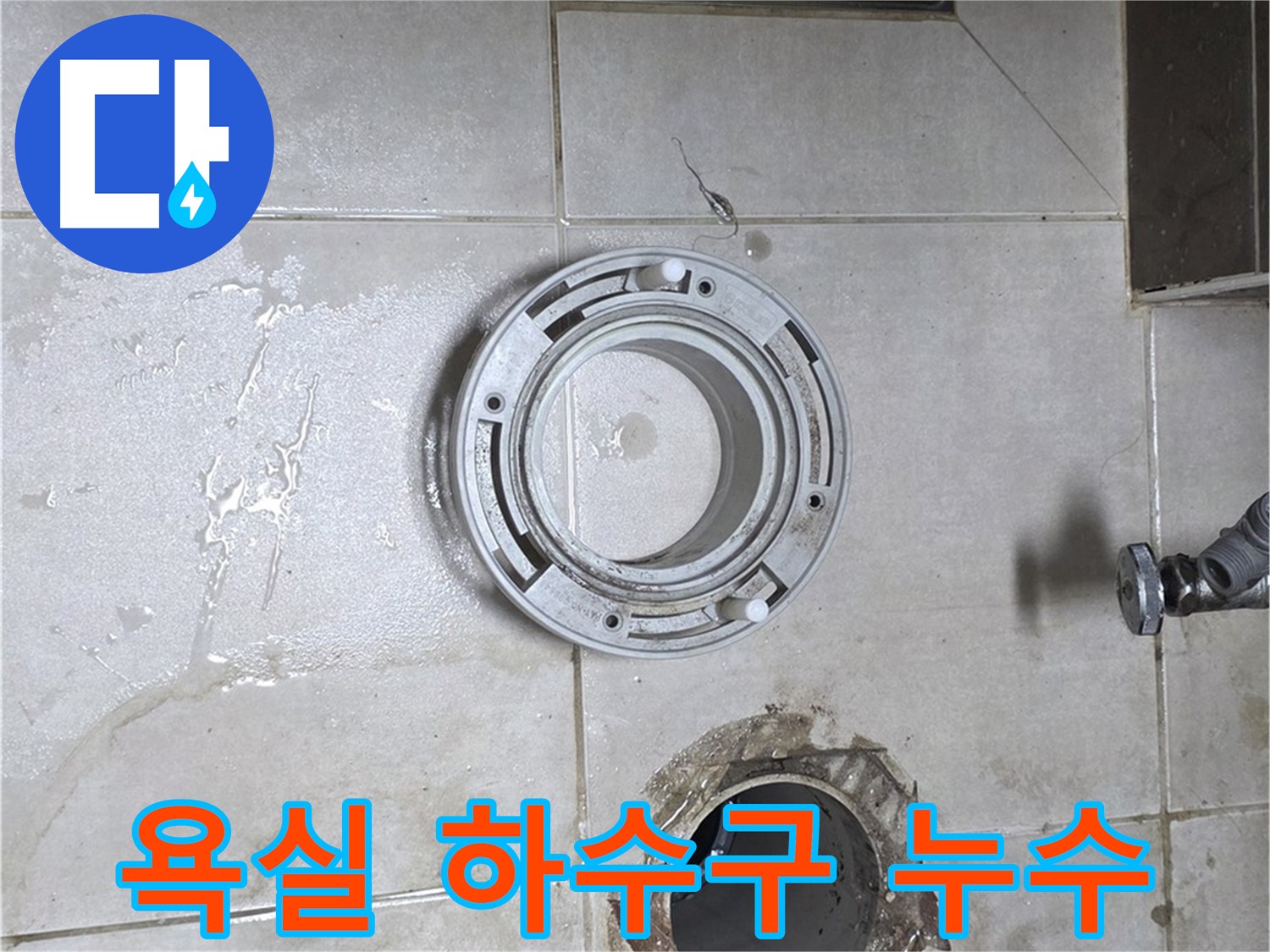 양주 옥정 율정마을 아파트 욕실 하수구 누수 - 누수 차단 전문가의 완벽 시공