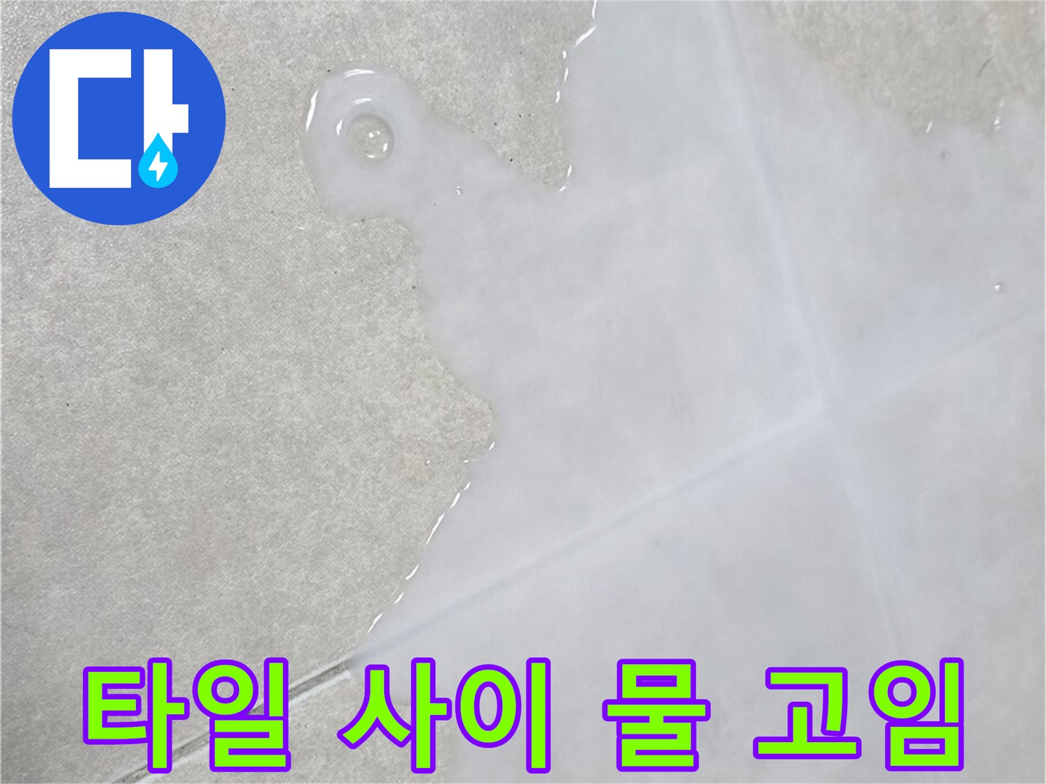 양주 옥정 율정마을 아파트 타일 사이 물 고임 - 누수 해결 전문가