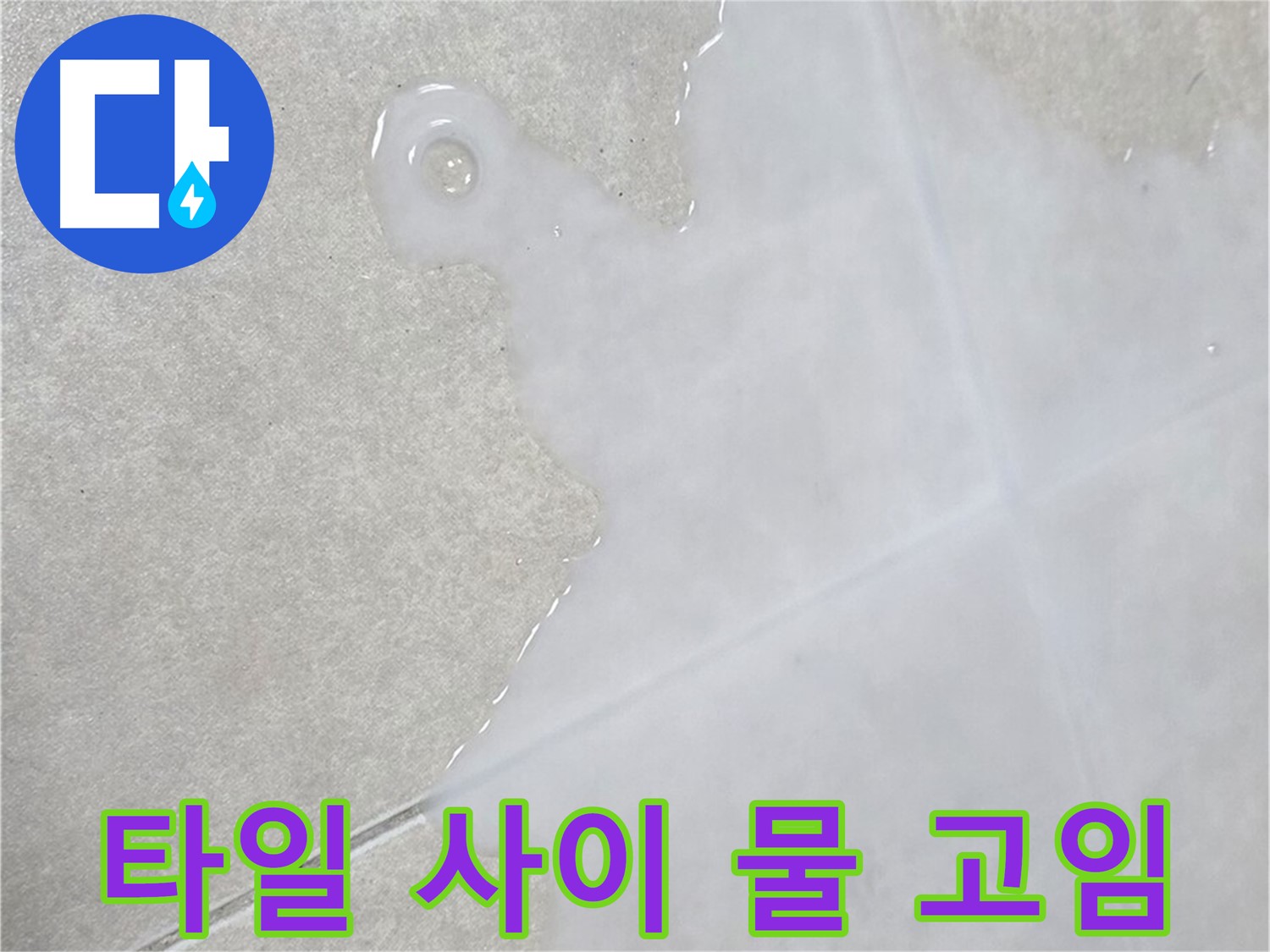 양주 옥정 율정마을 아파트 타일 사이 물 고임 - 누수 해결 전문가