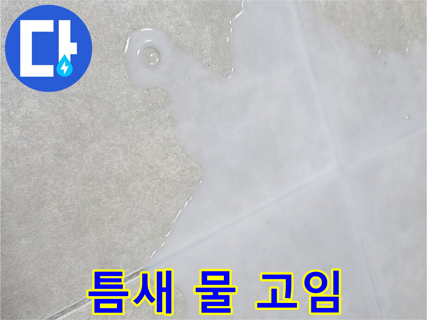 양주 옥정 율정마을 아파트 타일 틈새 물 고임 - 정확한 누수 지점 탐지