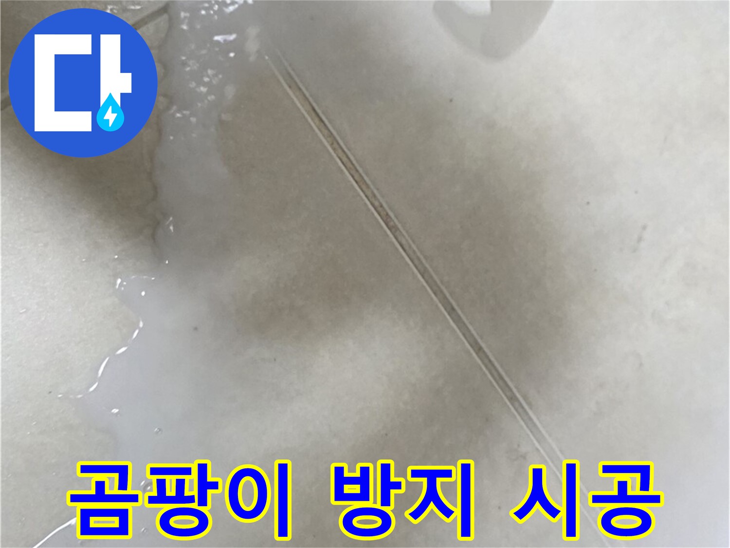 양주 옥정동 1309동 - 곰팡이 방지 액체 방수제로 욕실 누수 해결