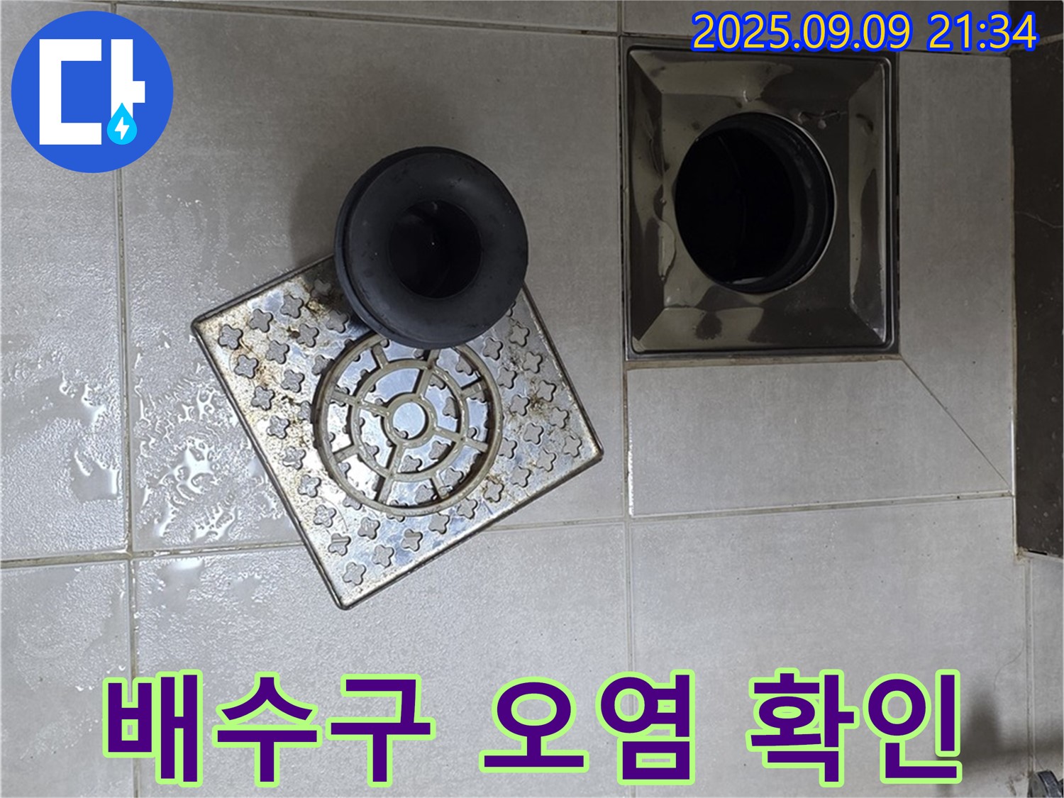 양주 옥정동 누수 - 율정마을13단지 욕실 배수구 내부의 오염 상태 확인 - 꼼꼼하게 확인하여 청소 및 수리 계획을 세웁니다.