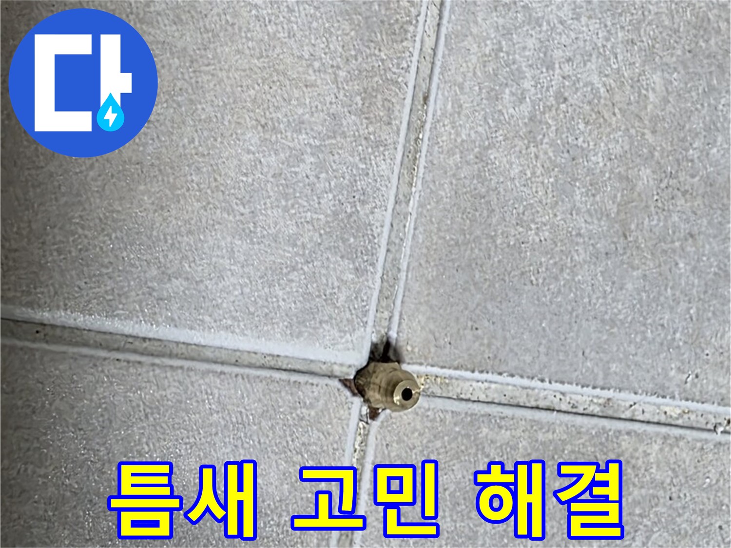 양주 옥정동 율정마을 아파트 누수 - 타일 틈새 구멍으로 인한 누수 문제, 더 이상 고민하지 마세요!