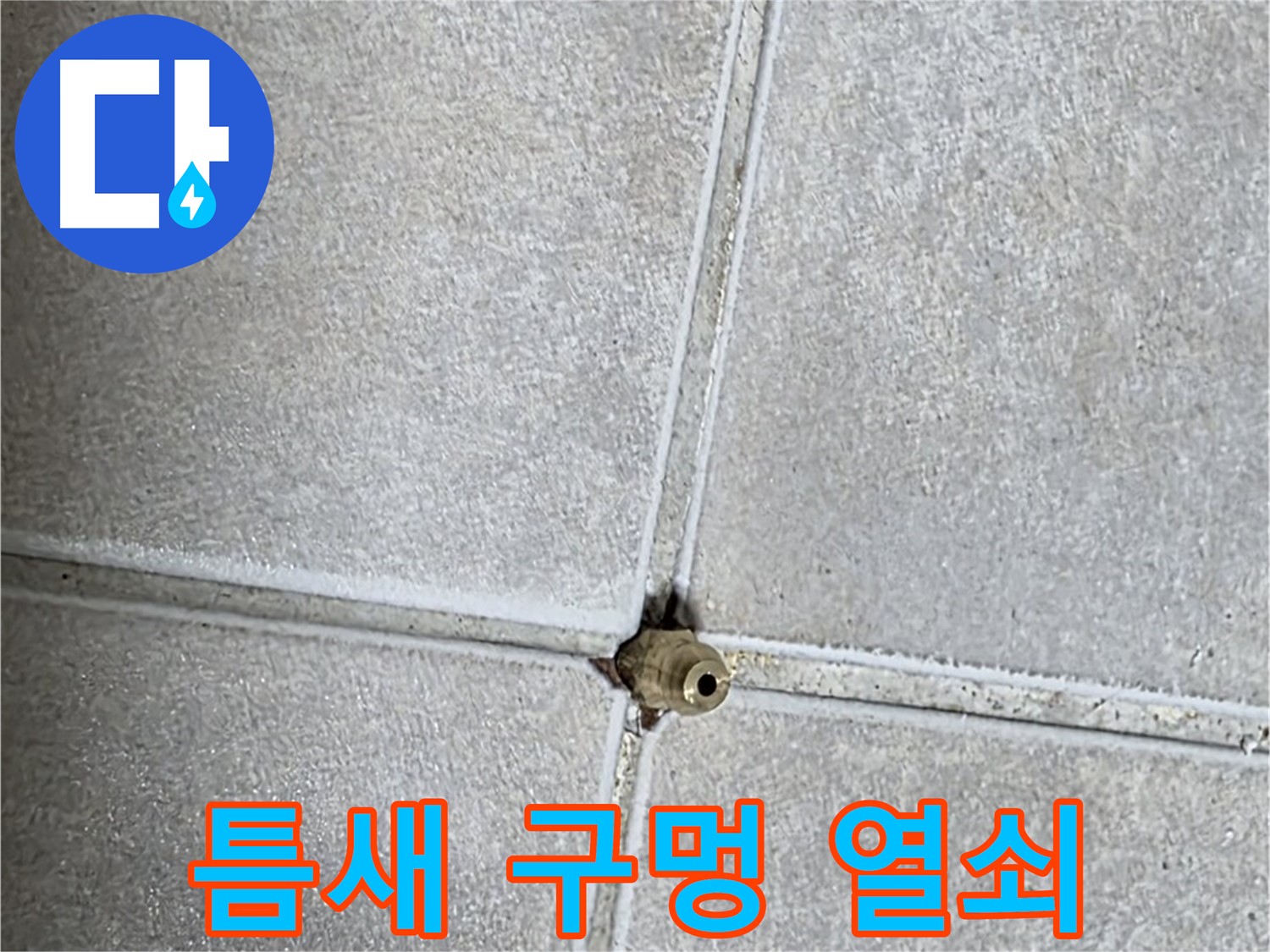 양주 옥정동 율정마을 아파트 누수 - 타일 틈새 구멍이 누수 해결의 열쇠가 될 수 있을까요?