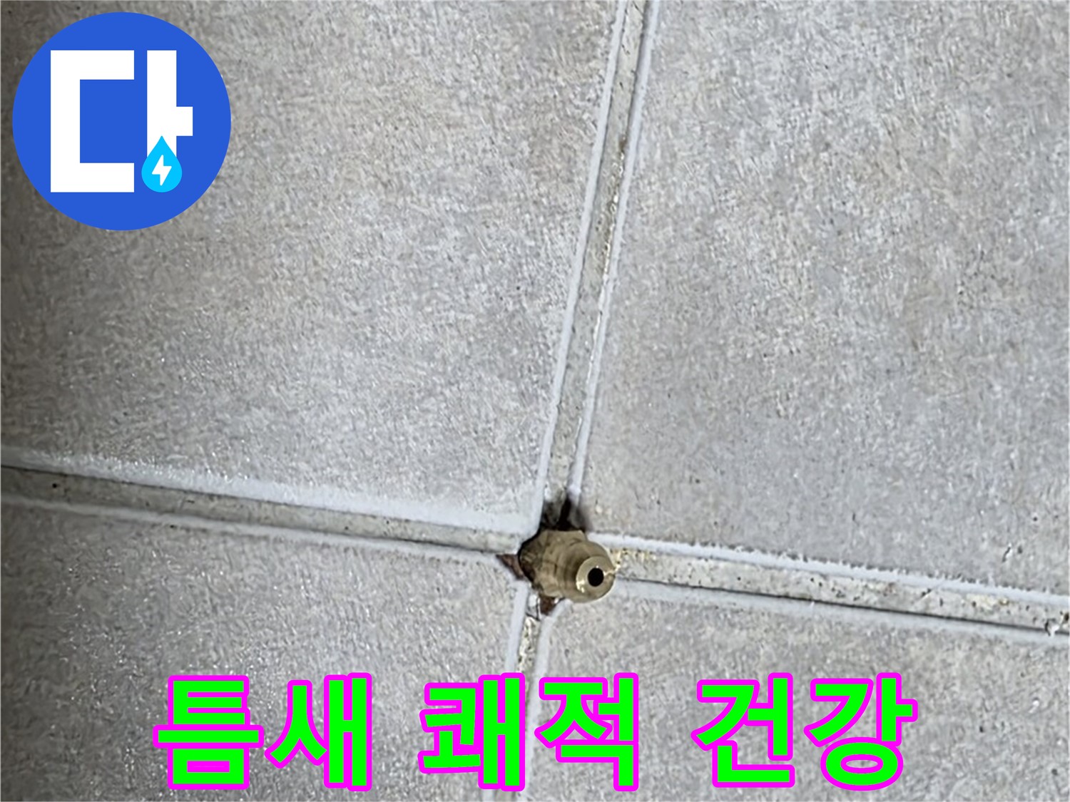 양주 옥정동 율정마을 아파트 누수 - 타일 틈새 누수, 완벽하게 차단하고 쾌적한 환경에서 건강하게 생활하세요!