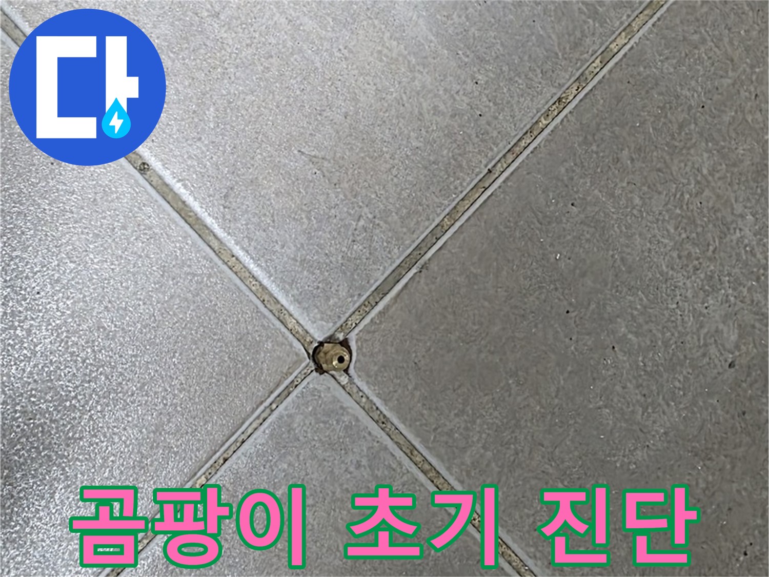 양주시 옥정동 율정마을 13단지 아파트 타일 틈새 곰팡이 - 전문가의 초기 진단 모습입니다.