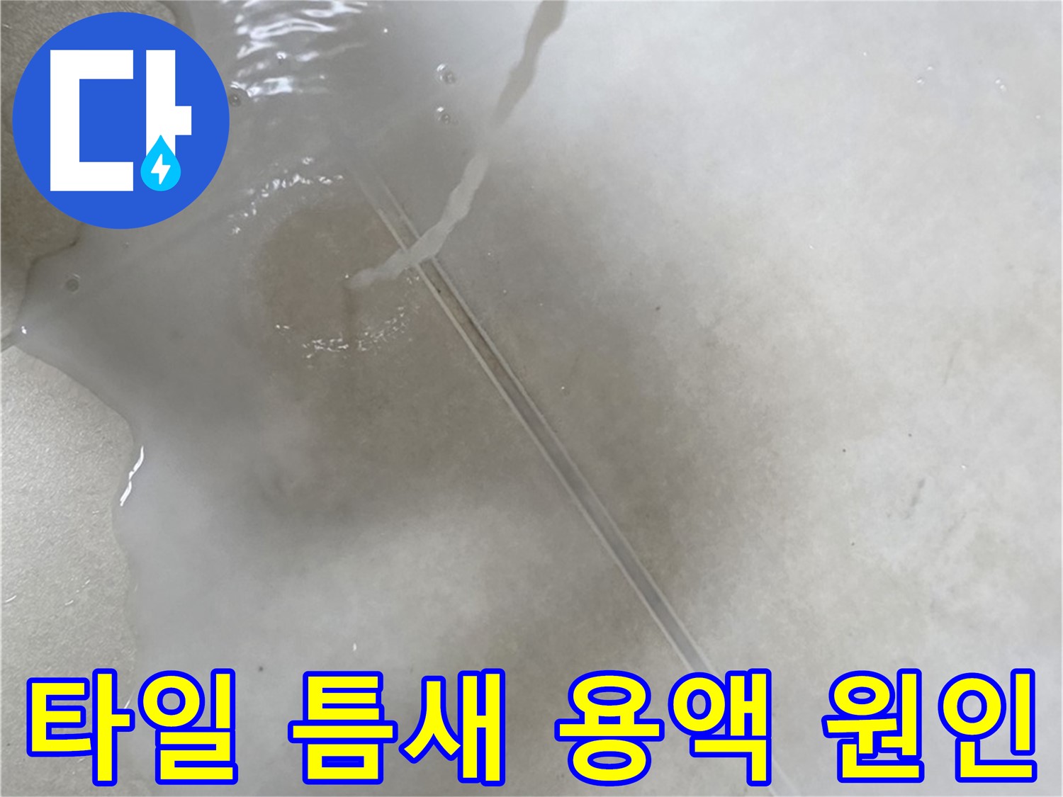 옥정 율정마을 13단지 아파트 - 특수 용액으로 타일 틈새 누수 원인을 찾아낸 모습입니다.