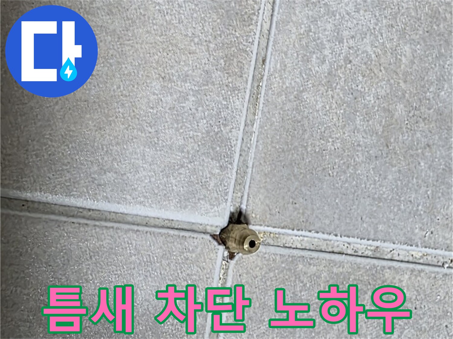 옥정 율정마을 아파트 누수 - 타일 틈새 구멍, 저희만의 완벽 차단 시공 노하우를 공개합니다.