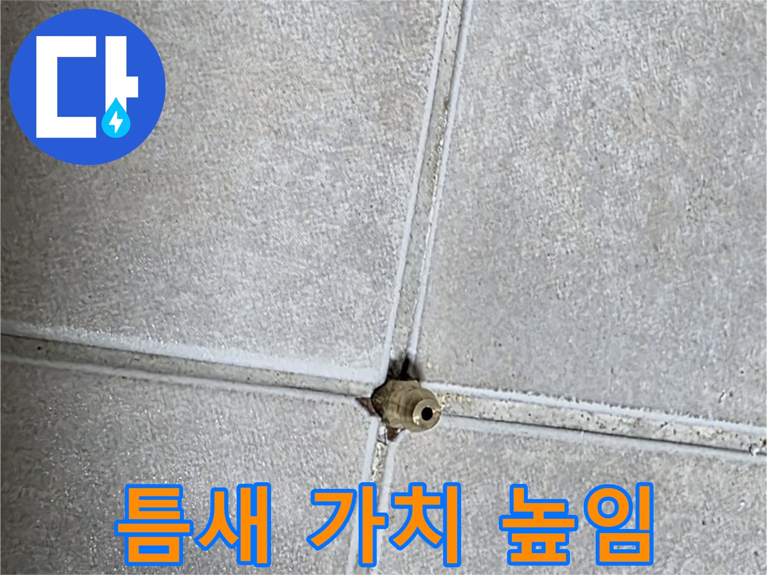 옥정 율정마을 아파트 누수 - 타일 틈새 누수 해결, 우리 집 가치를 높여드립니다!