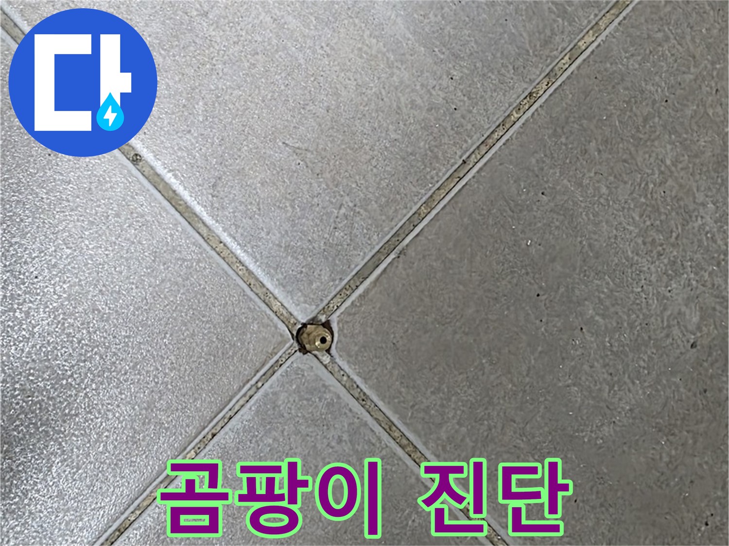 옥정 율정마을 아파트 타일 틈새 곰팡이 - 누수 전문가가 정확하게 진단해 드립니다.