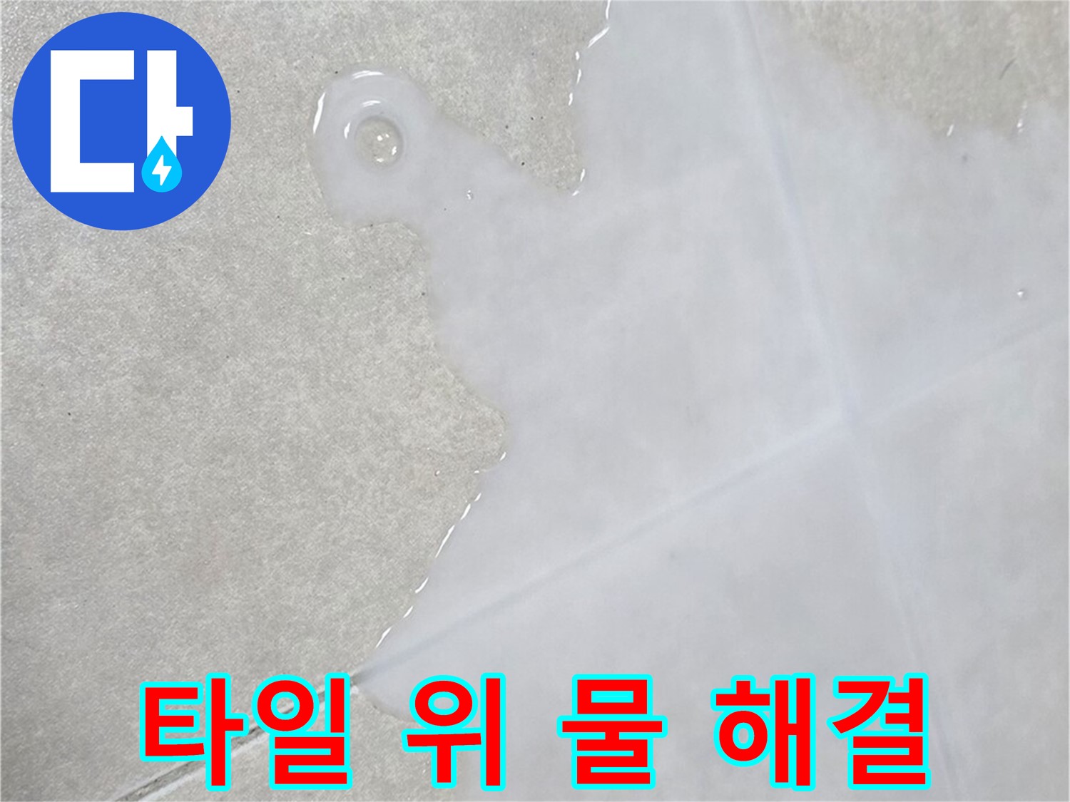 옥정동 율정마을 아파트 타일 위 물 - 신속한 누수 해결 서비스