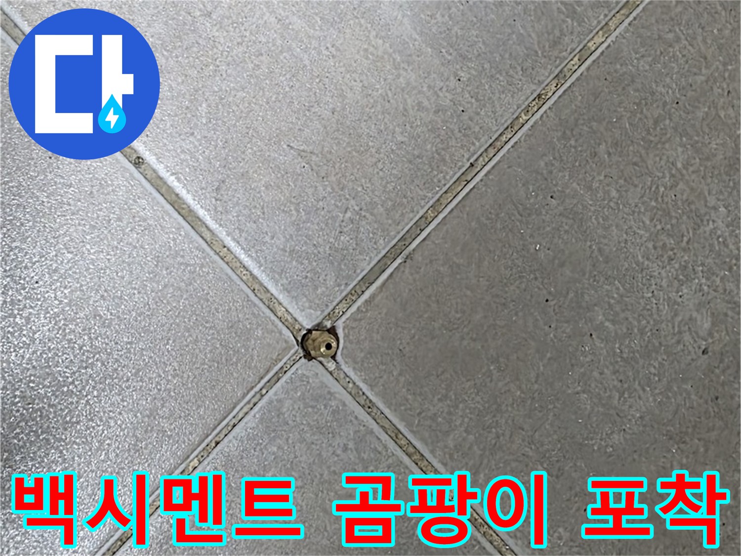 옥정동 율정마을 아파트 타일 틈새 백시멘트 곰팡이 - 누수 초기 징후 포착 사진입니다.