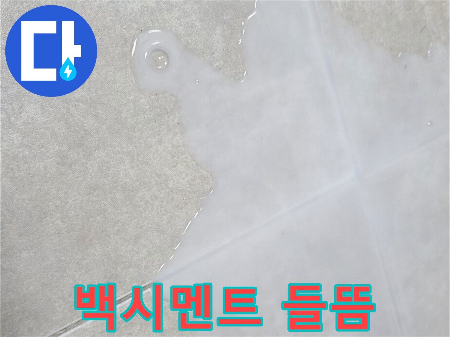 옥정신도시 율정마을 아파트 타일 틈새 백시멘트 들뜸 - 긴급 누수 점검 및 보수 필요