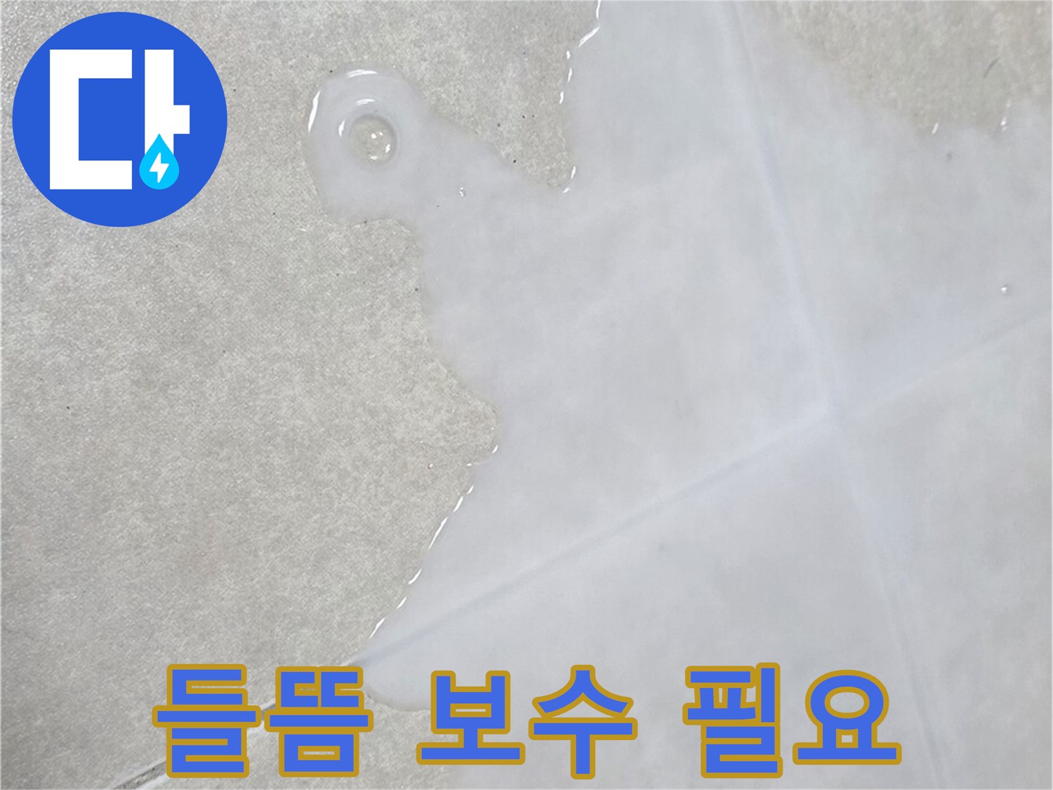 옥정신도시 율정마을 아파트 타일 틈새 백시멘트 들뜸 - 긴급 점검 및 보수 필요