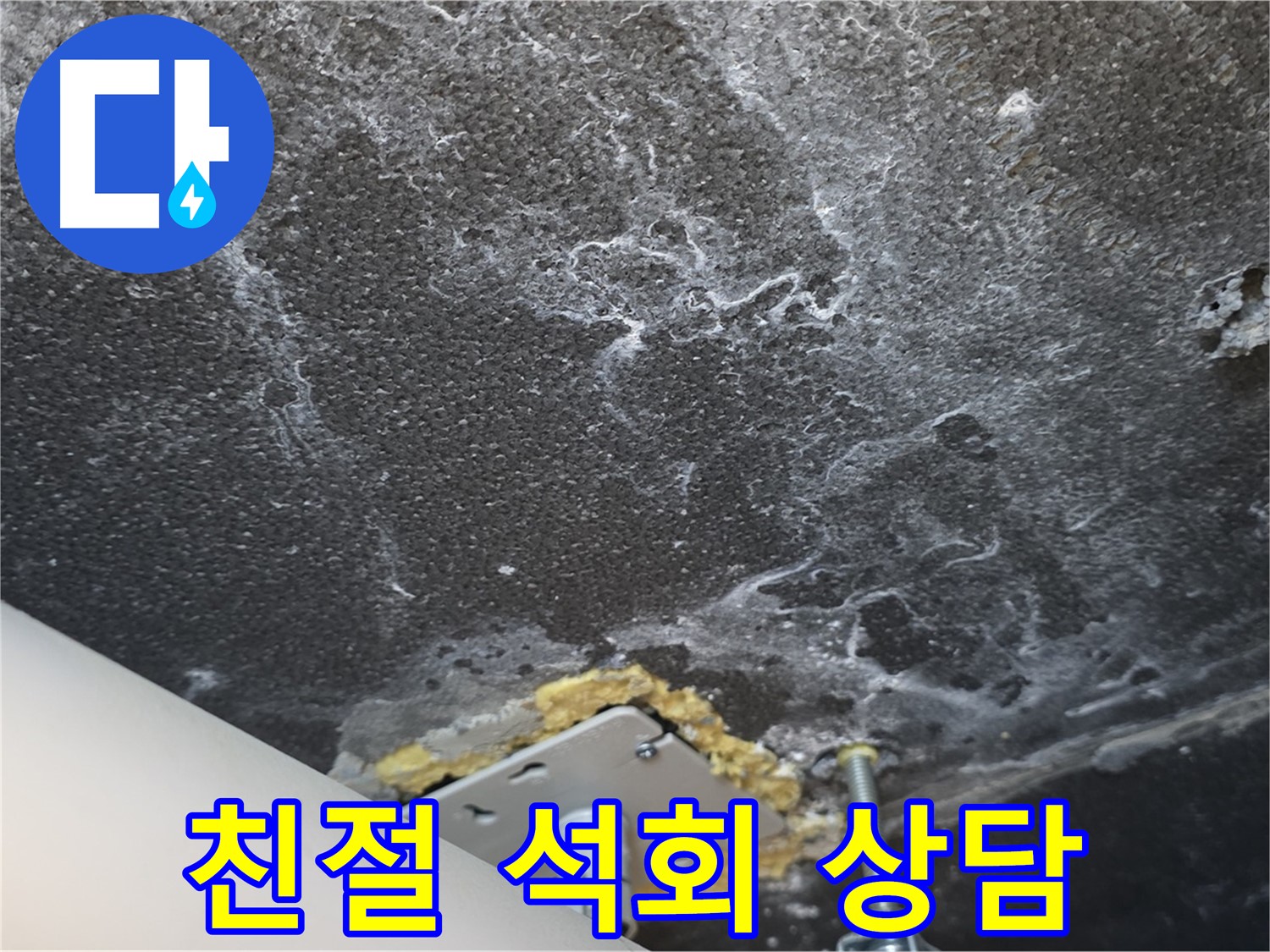 동패동 아파트 누수 - 천장 누수 석회 관련 친절하고 자세한 상담
