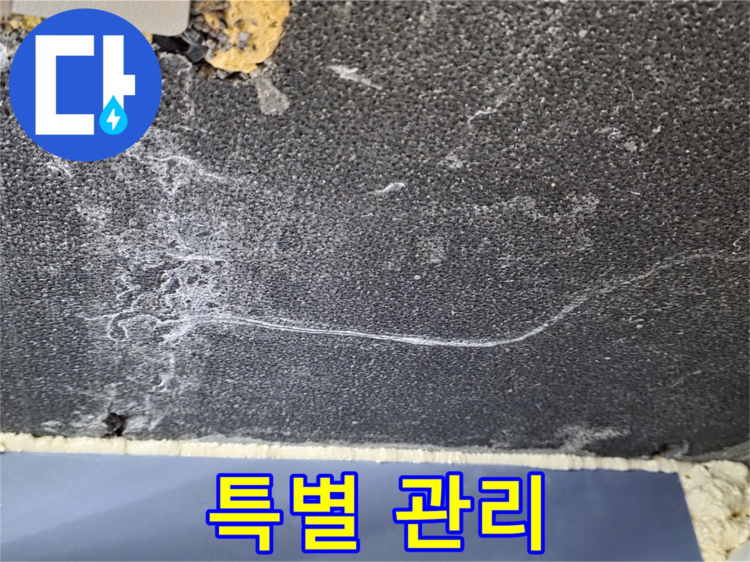동패동 천장 누수 - 운정어반프라임 석회 부위 특별 관리