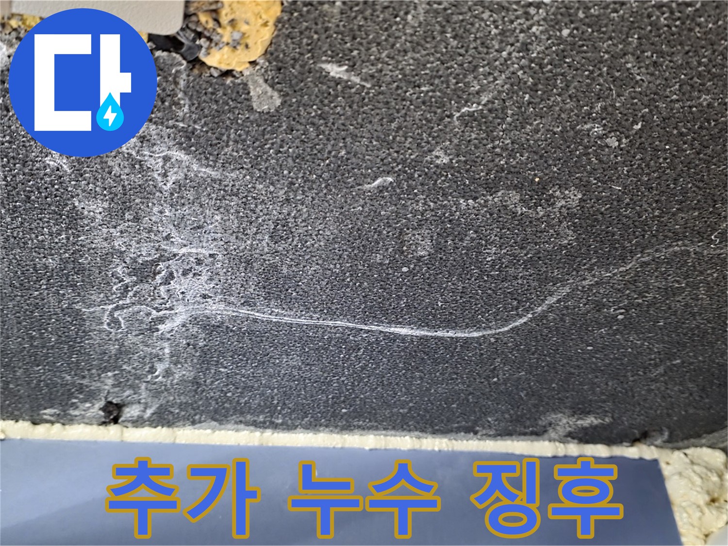 운정 아파트 천장 누수 - 곰팡이 주변 추가 누수 징후 확인