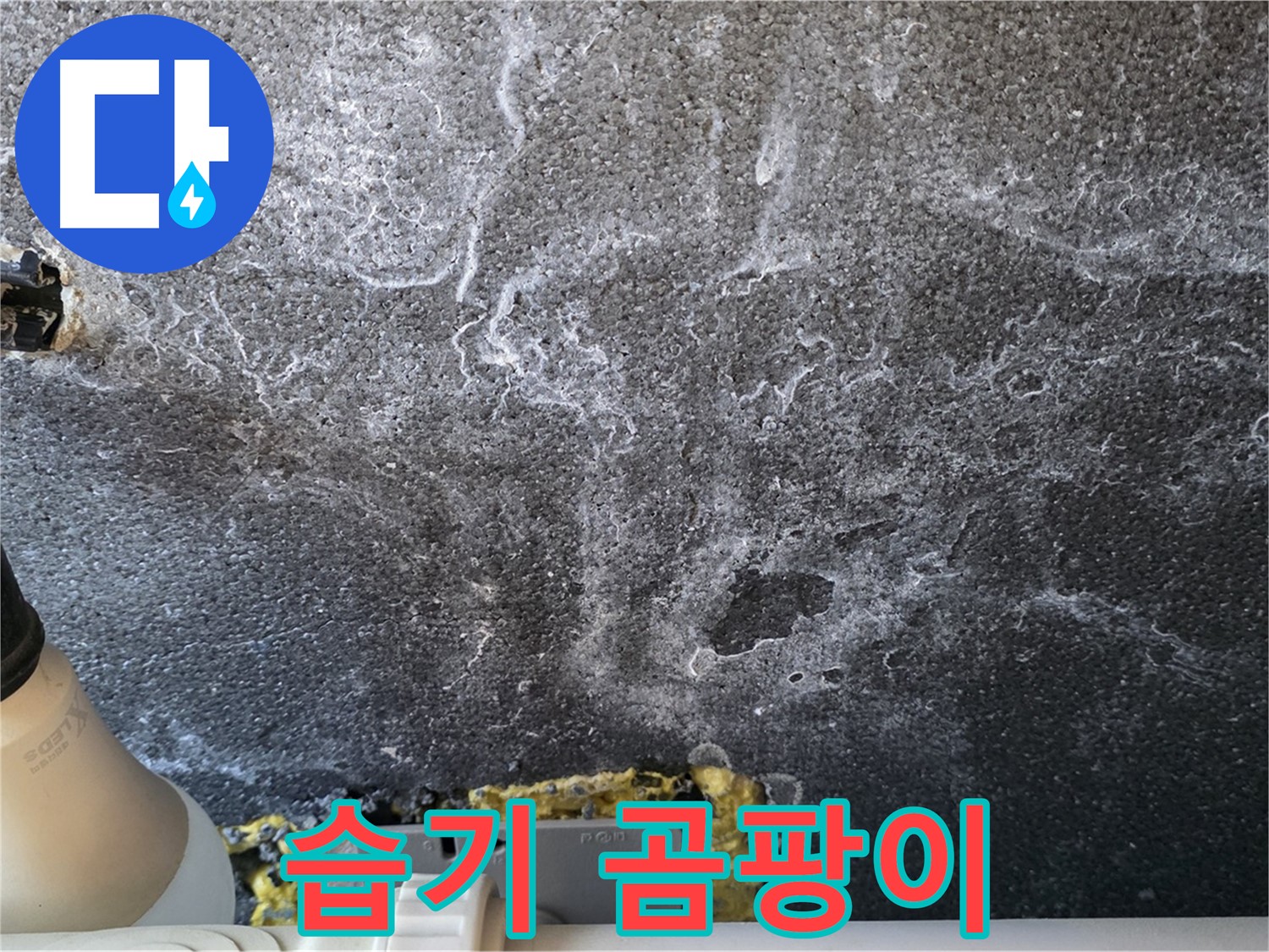 운정어반프라임 1201동 누수 - 누수 부위 주변 습기 및 곰팡이 확인