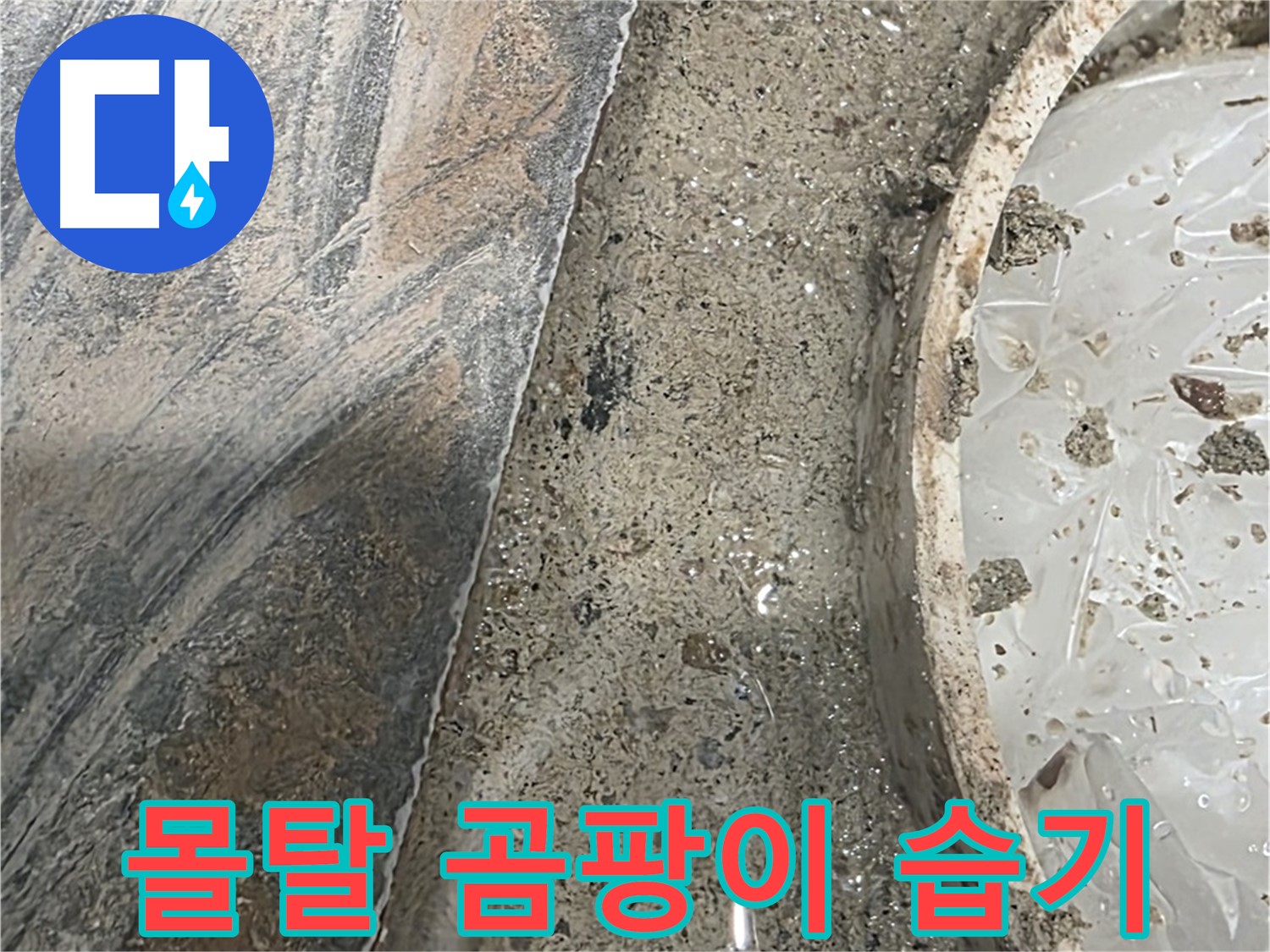 유가 주변 몰탈 곰팡이 - 습기 발견 - 건강 위협