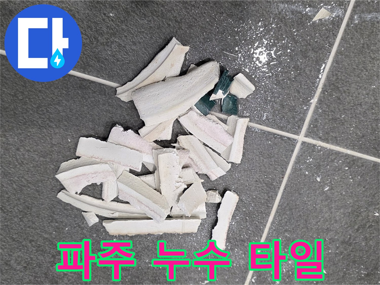 파주 누수 현장 - 깨진 타일 속 숨겨진 누수 지점을 찾아 정밀 탐지하는 모습입니다. 저희가 책임지고 완벽하게 해결하겠습니다.
