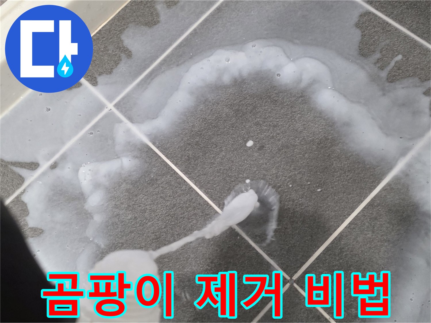 파주 동패동 아파트 욕실 - 곰팡이 완벽 제거 비법 공개!