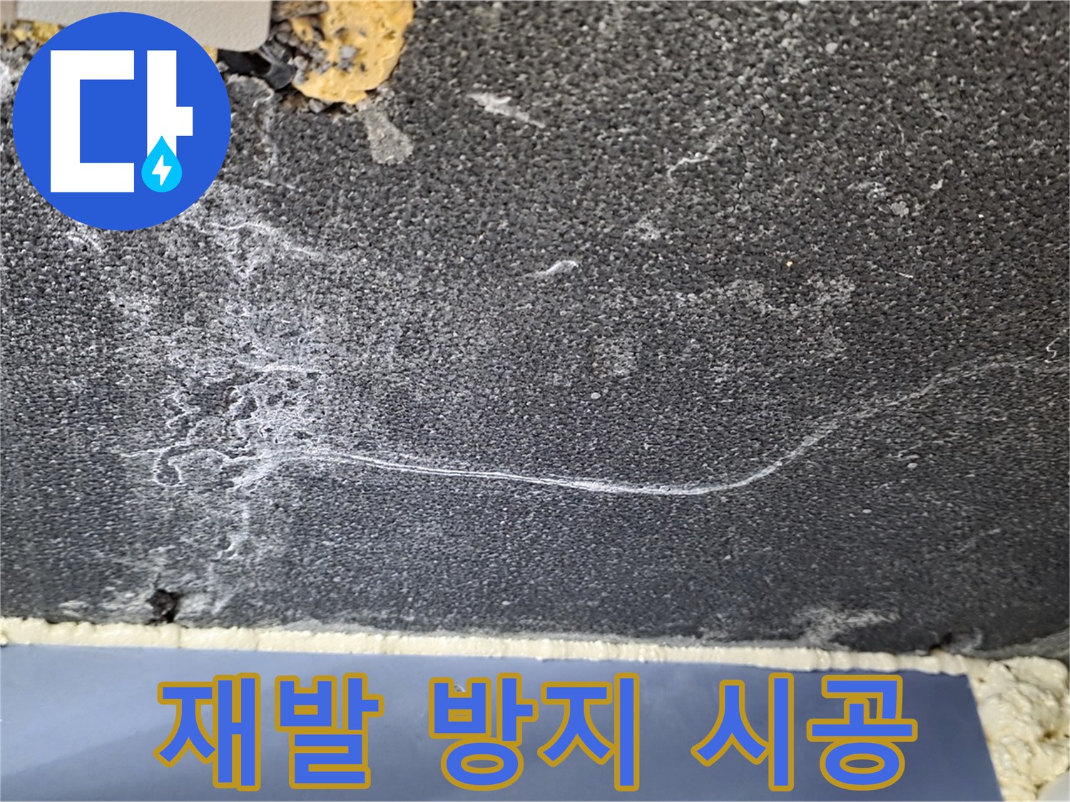 파주 동패동 천장 누수 해결 - 곰팡이 재발 방지 완벽 시공 완료