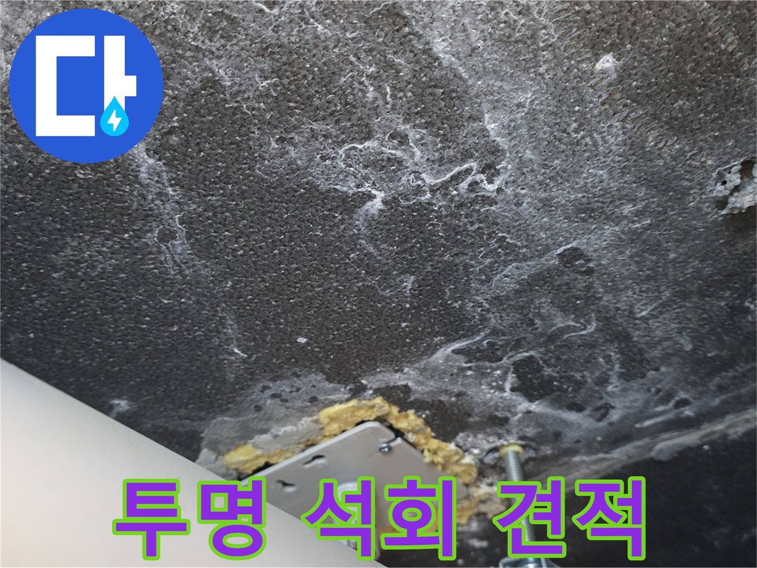 파주시 동패동 누수 - 석회 관련 투명하고 합리적인 견적 제공