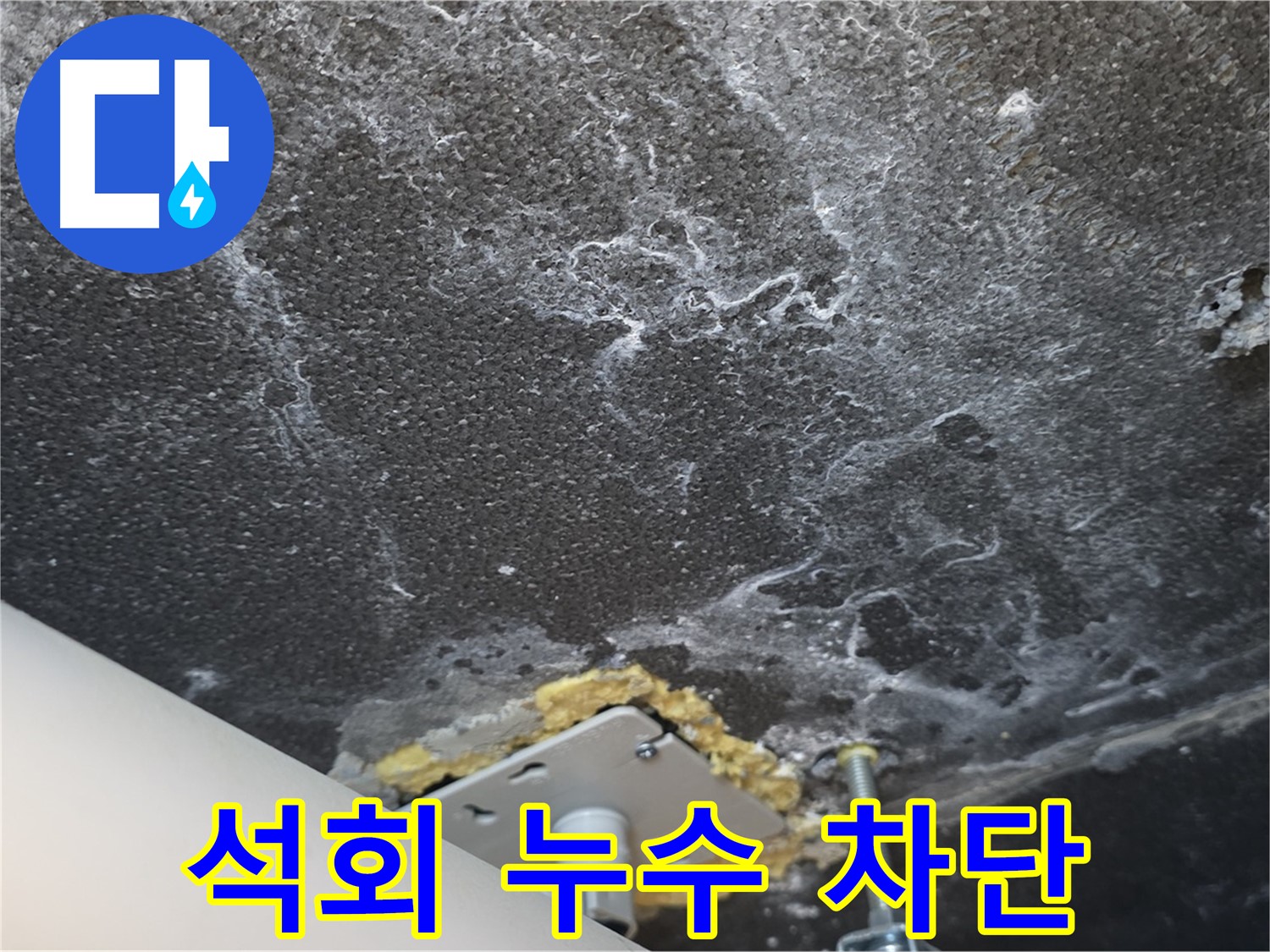 파주시 동패동 누수 - 천장 석회 누수 완벽 차단 시공 완료