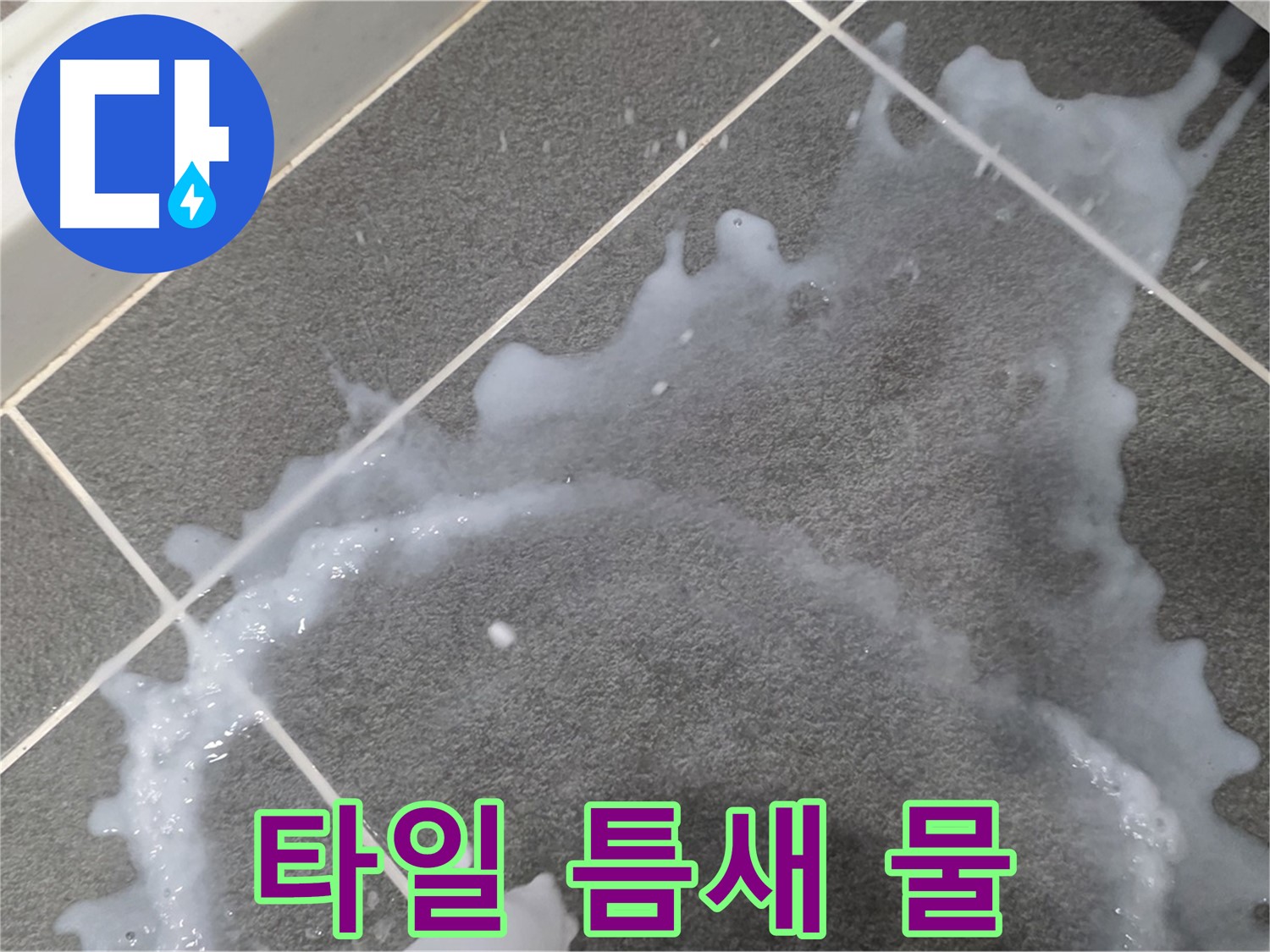 파주시 동패동 운정어반프라임 1201동 아파트 타일 틈새 물기 - 초기 누수 발견, 빠른 누수탐지로 해결