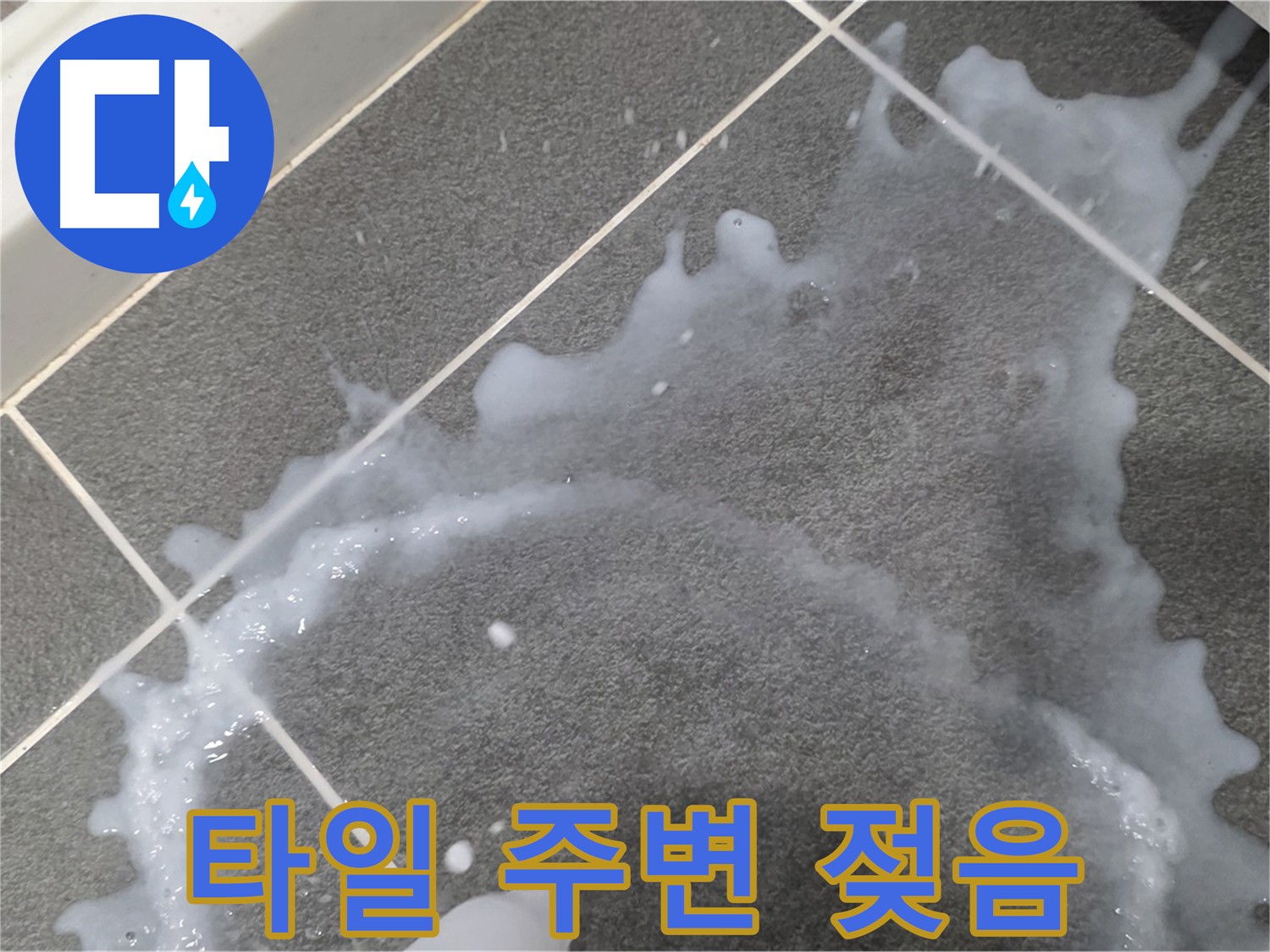 파주시 동패동 운정어반프라임 아파트 타일 주변 젖음 - 초기 누수 진단 전문가가 정확한 원인을 찾아 신속하게 해결합니다.